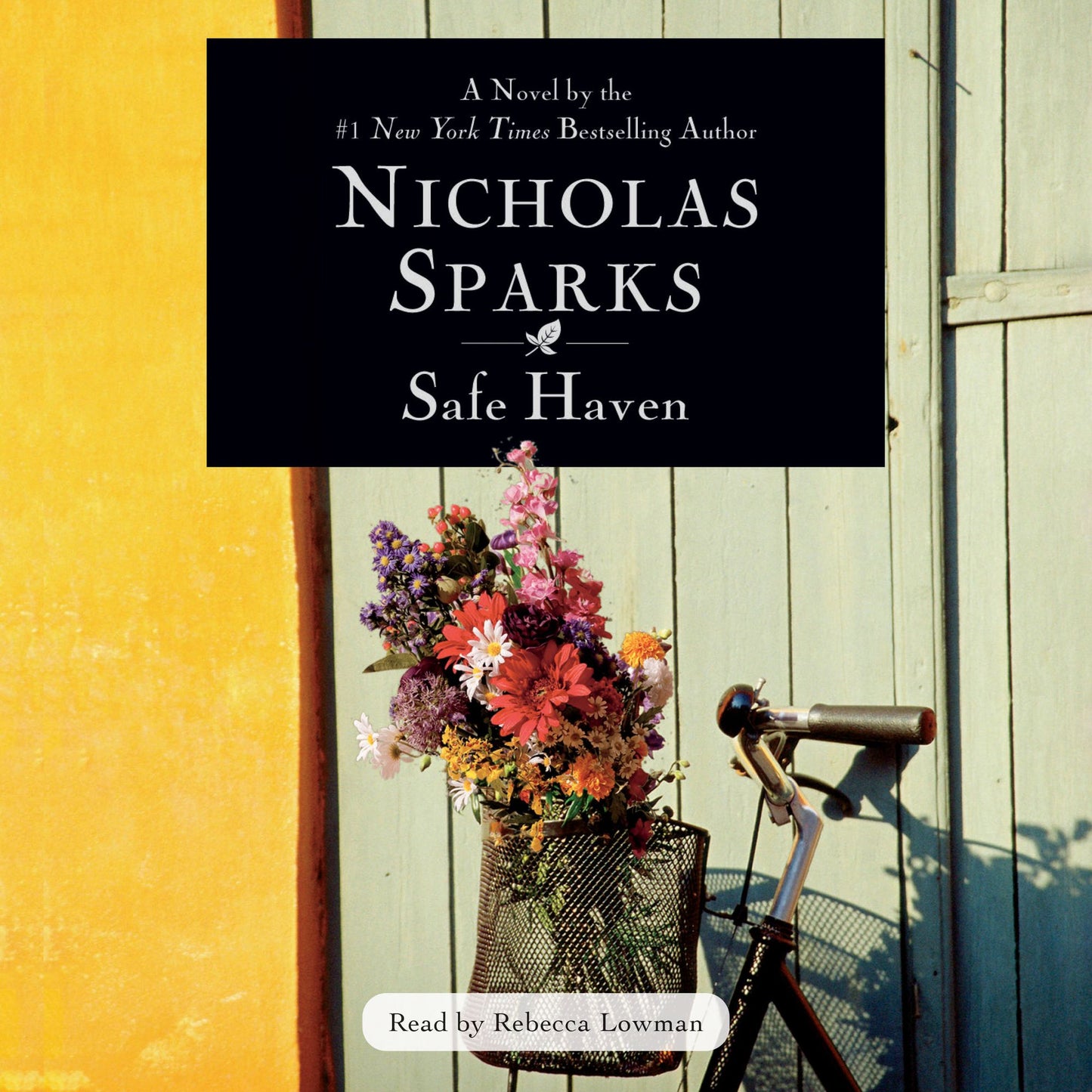 Safe Haven (Abridged)