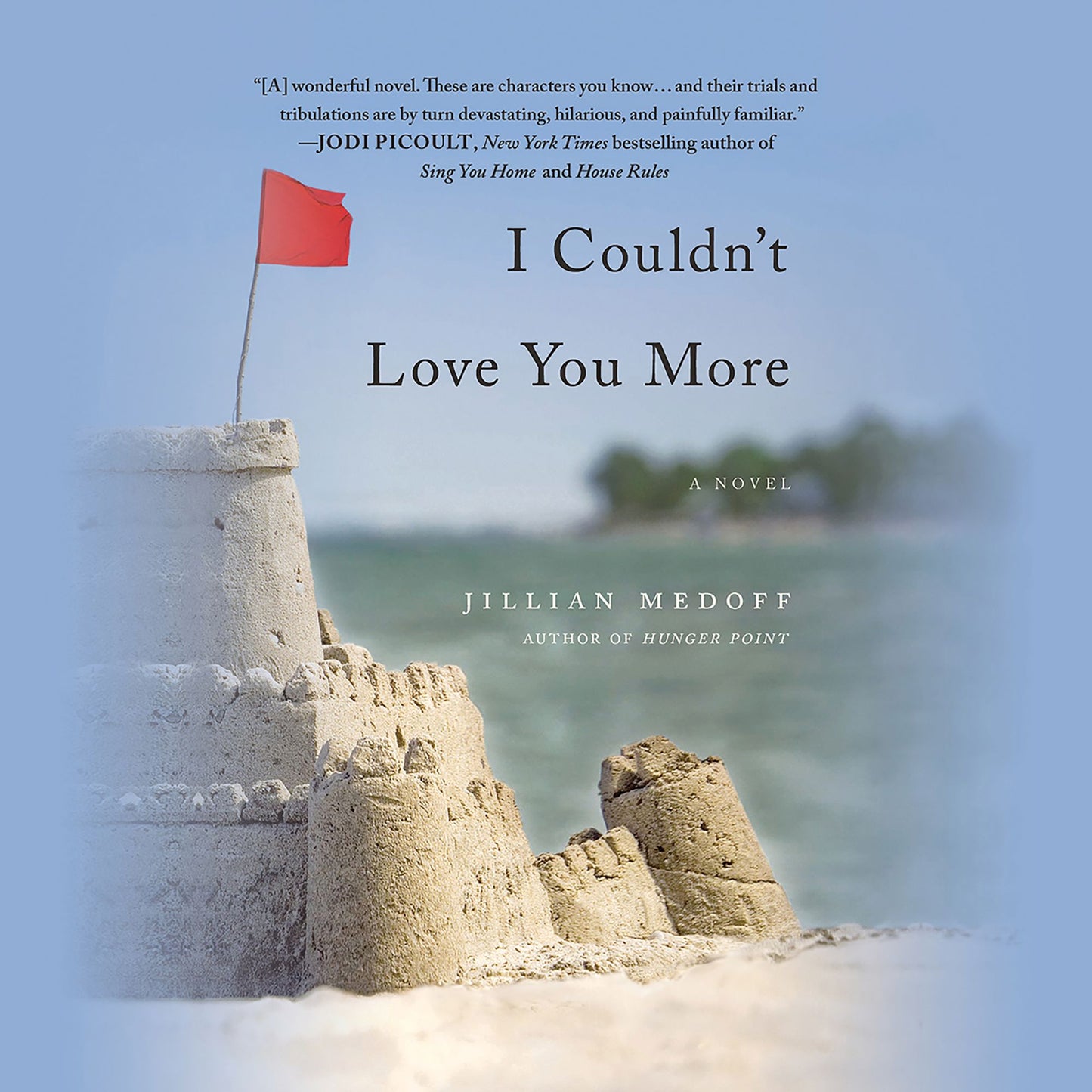 I Couldn't Love You More: A Novel