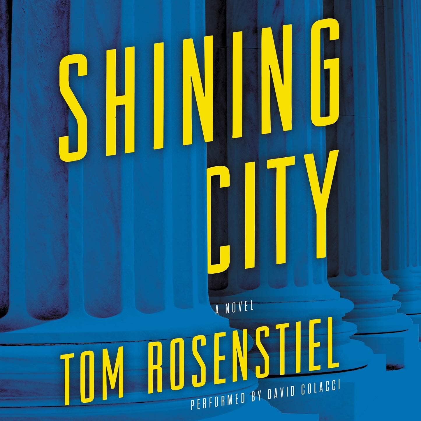 Shining City: A Novel