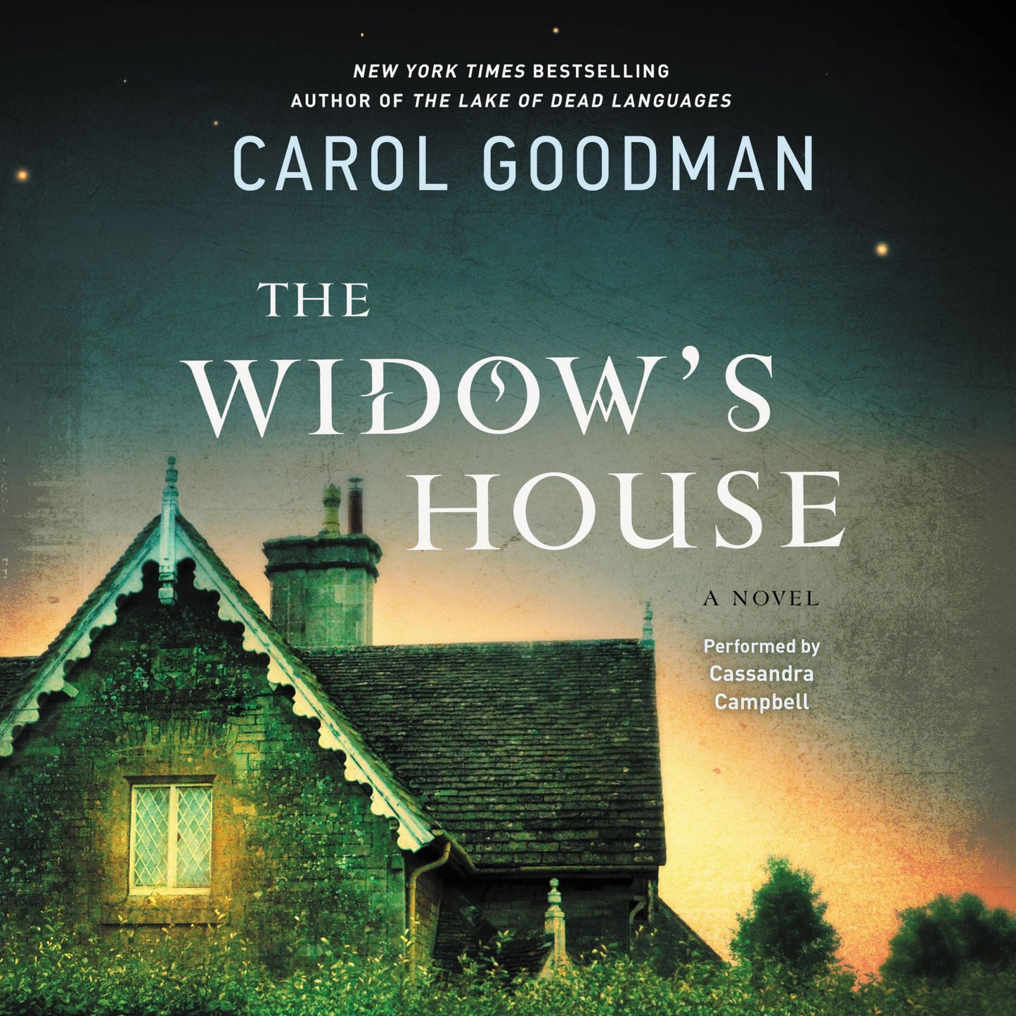 The Widow's House: A Novel