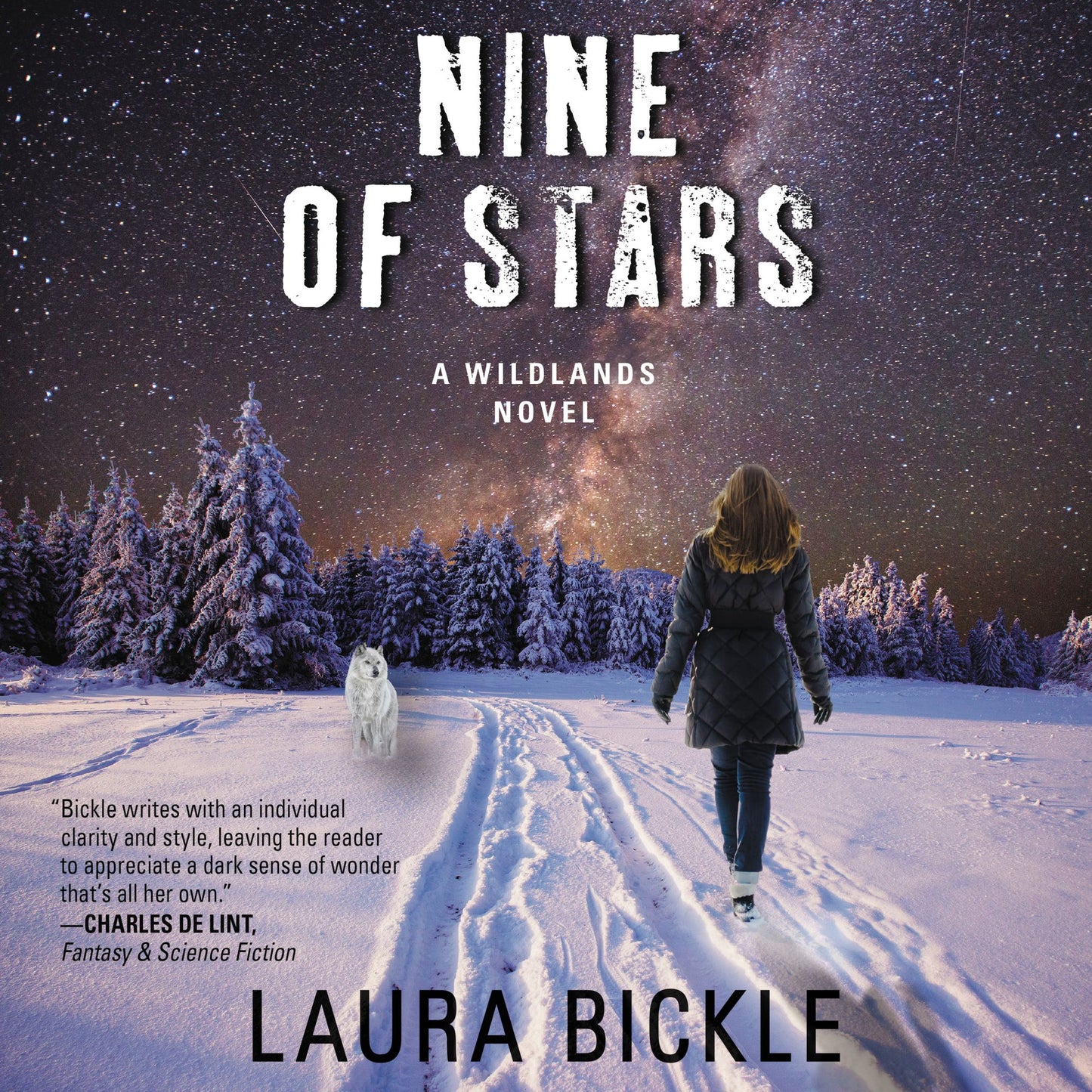Nine of Stars: A Wildlands Novel
