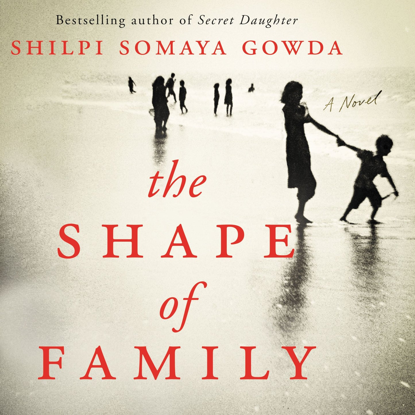 The Shape of Family : A Novel