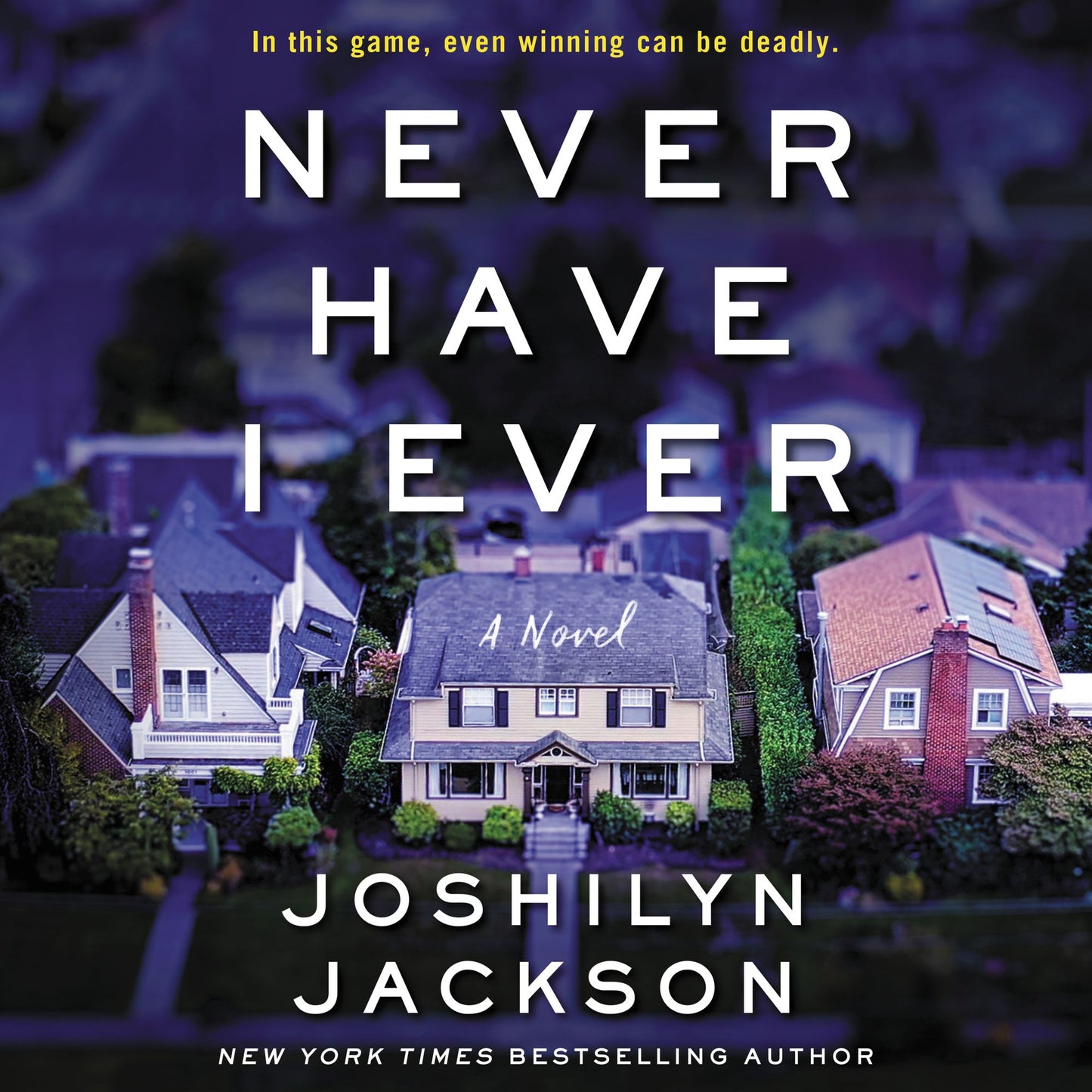 Never Have I Ever : A Novel