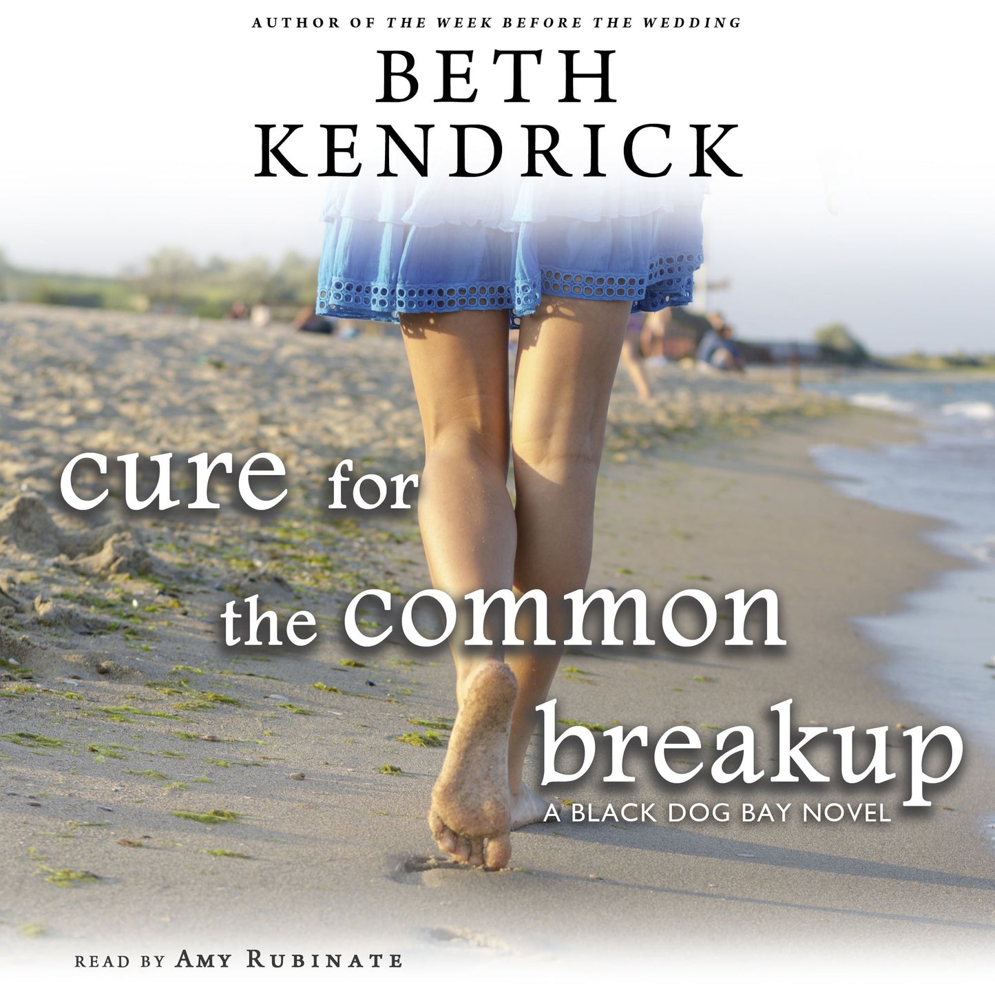 Cure for the Common Breakup : A Black Dog Bay Novel #1