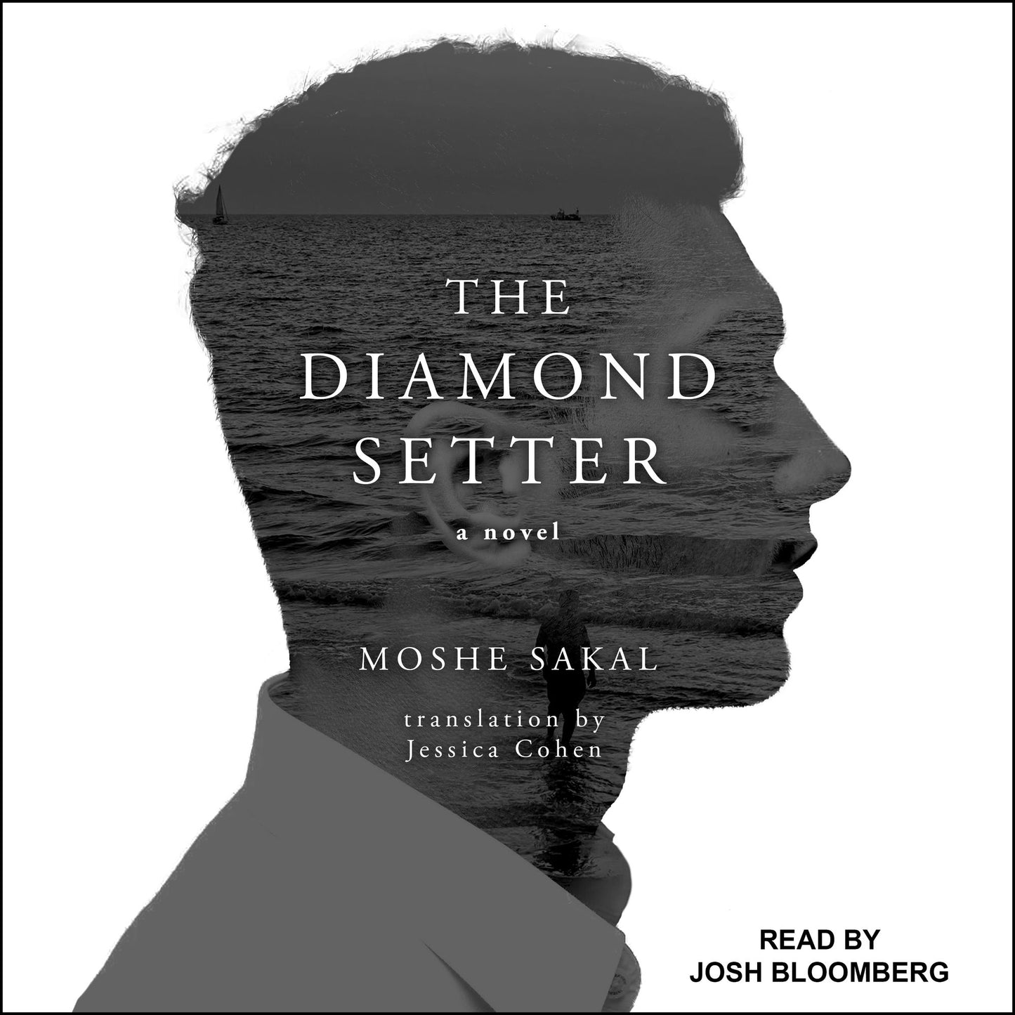 The Diamond Setter: A Novel