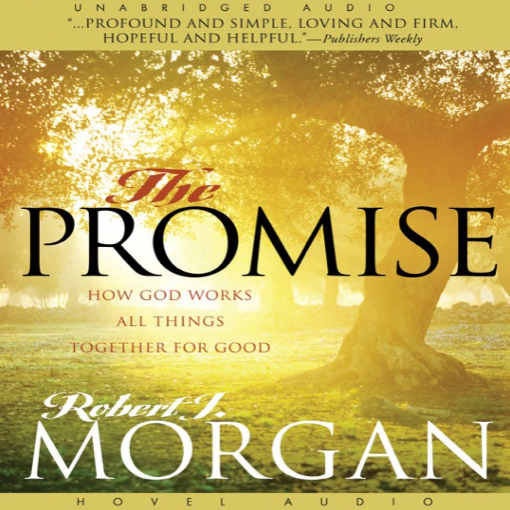 The Promise: How God Works All Things Together For Good