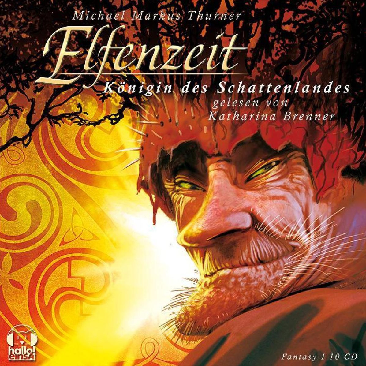 Elfenzeit 02: KÃ¶nigin des Schattenlandes