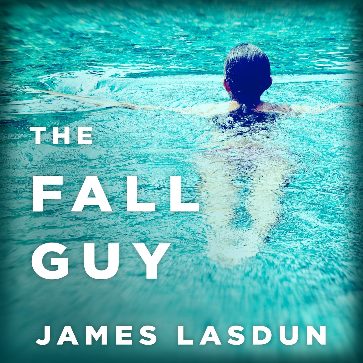 The Fall Guy: A Novel