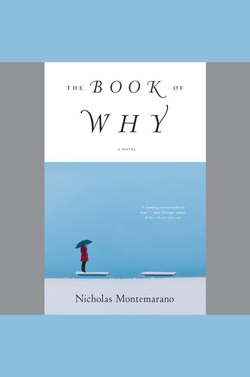The Book of Why: A Novel