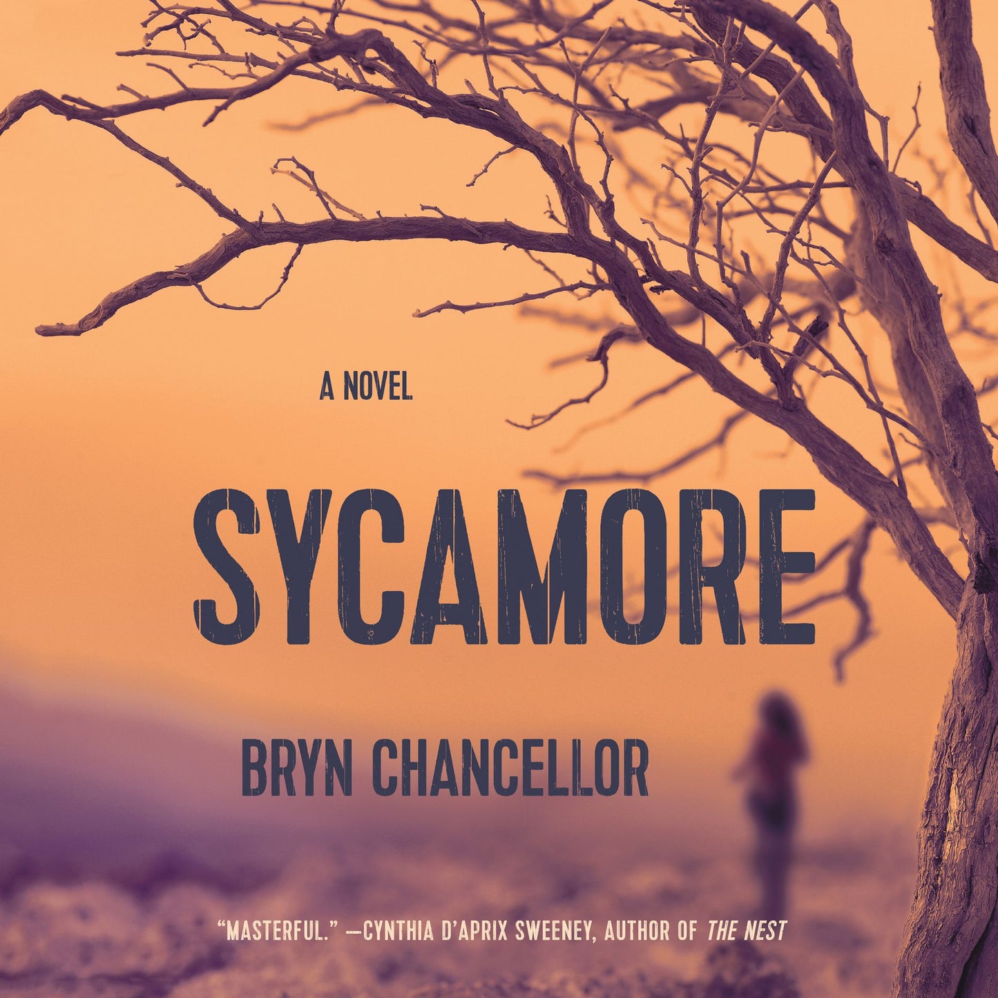 Sycamore: A Novel