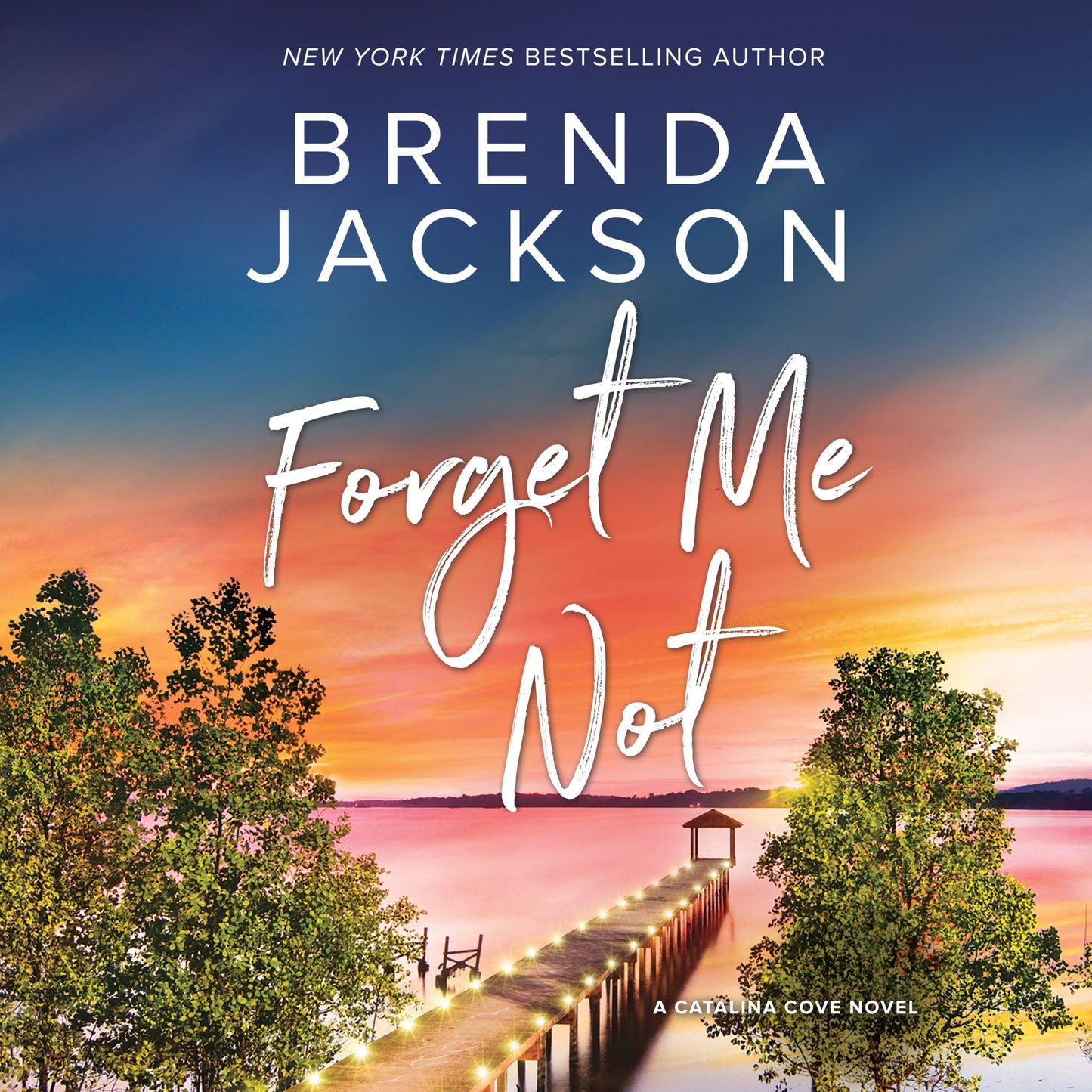 Forget Me Not: A Catalina Cove Novel