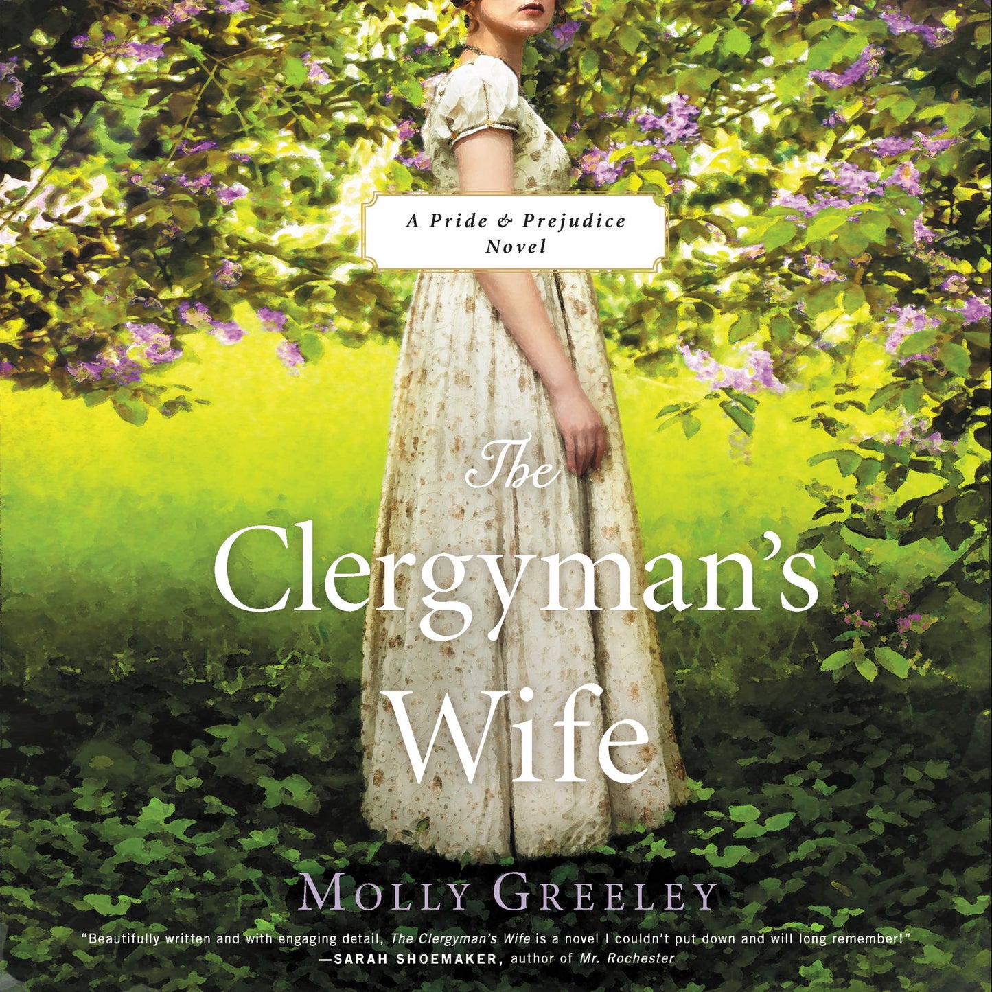 The Clergyman's Wife: A Pride & Prejudice Novel