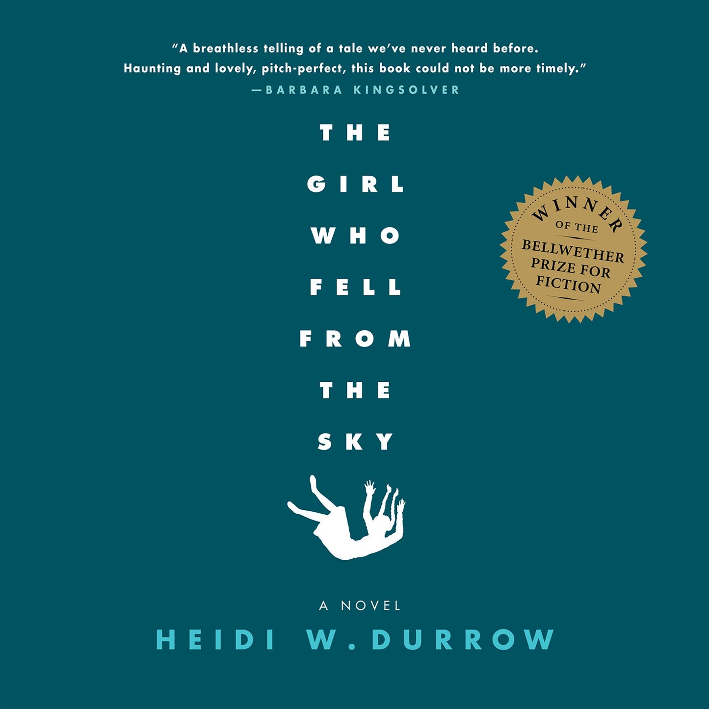 The Girl Who Fell from the Sky: A Novel