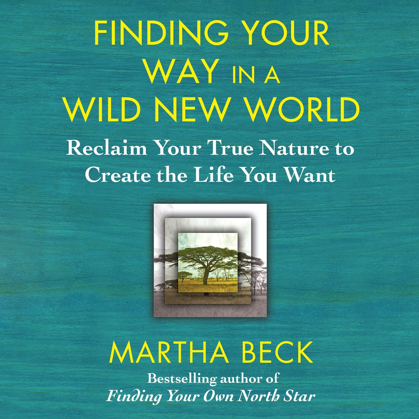 Finding Your Way in a Wild New World: Reclaim Your True Nature to Create the Life You Want