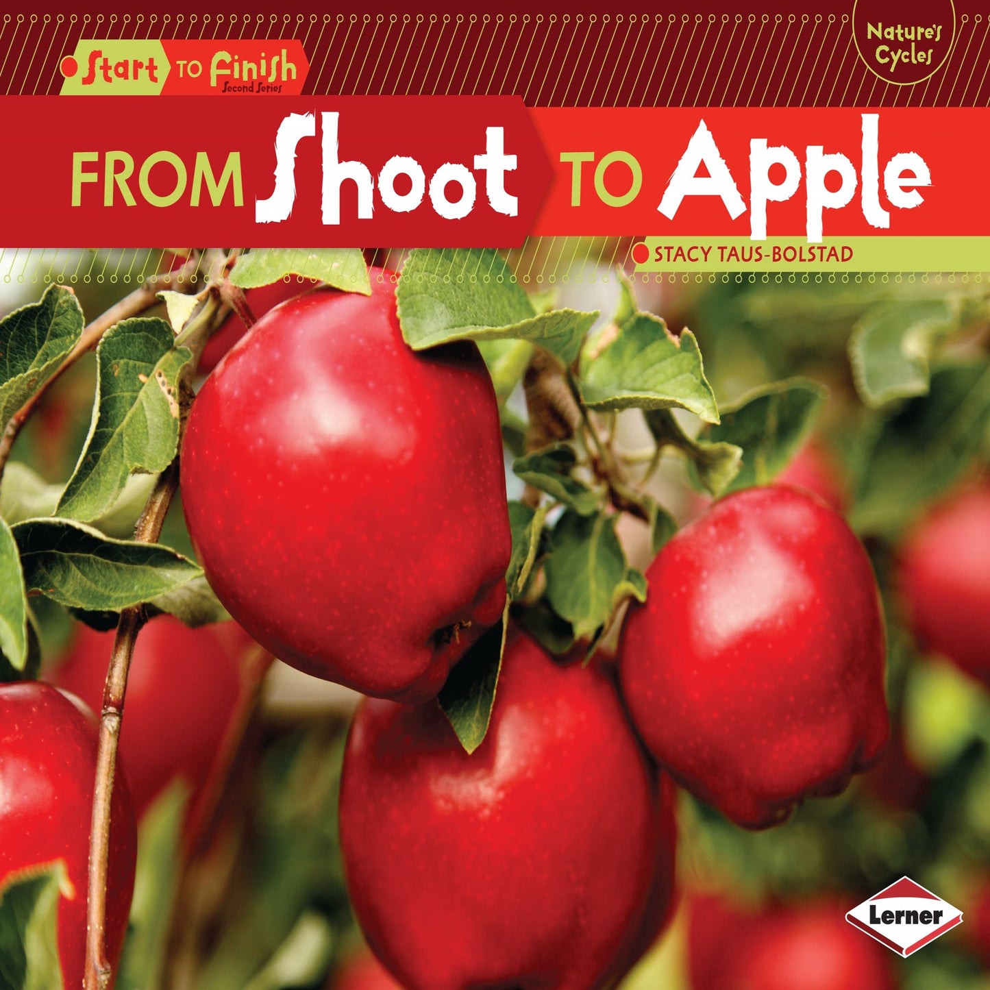 From Shoot to Apple