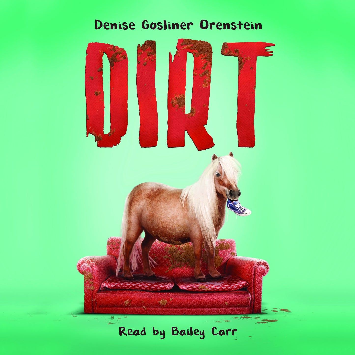 Dirt
