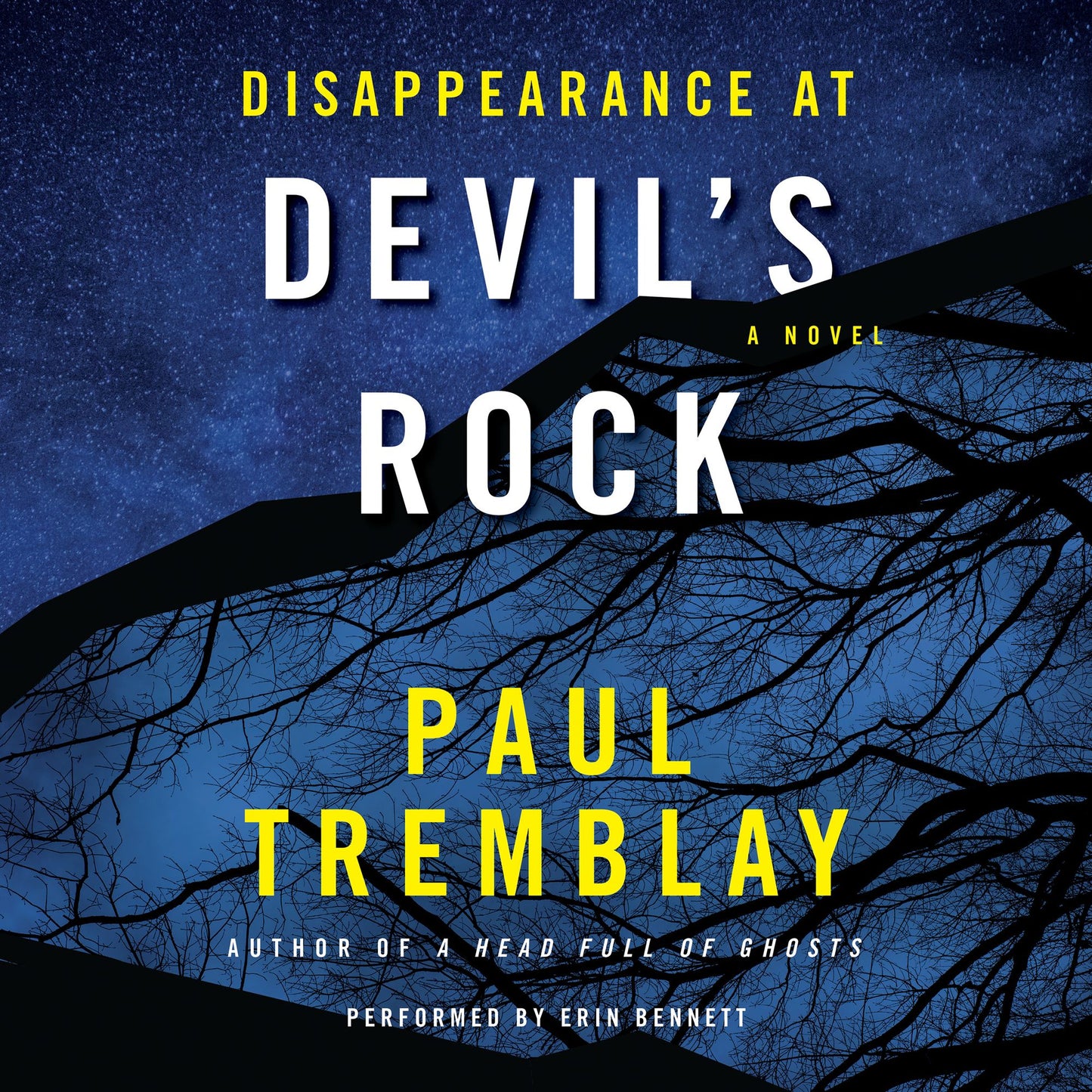 Disappearance at Devil's Rock: A Novel