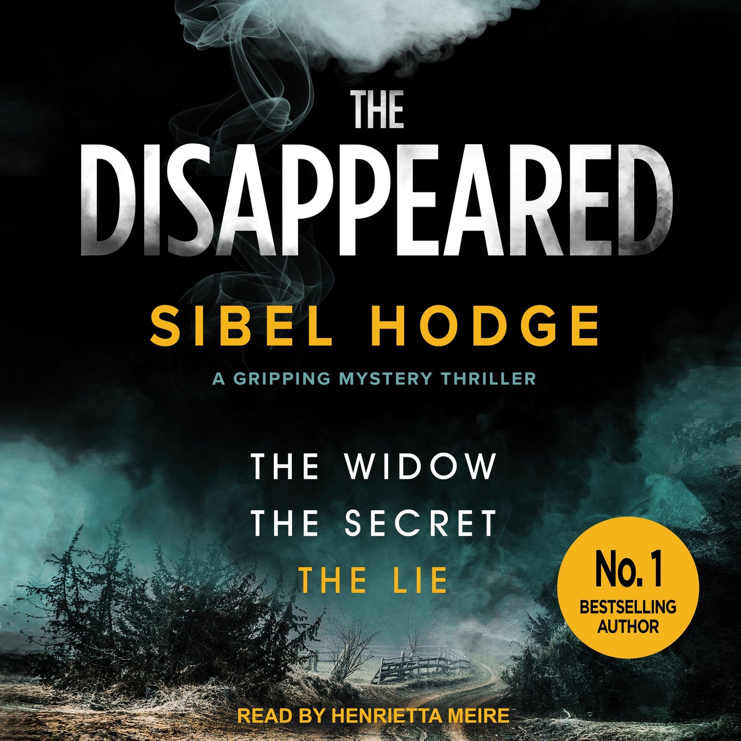 The Disappeared: A Gripping Mystery Thriller, The Widow, The Secret, The Lie