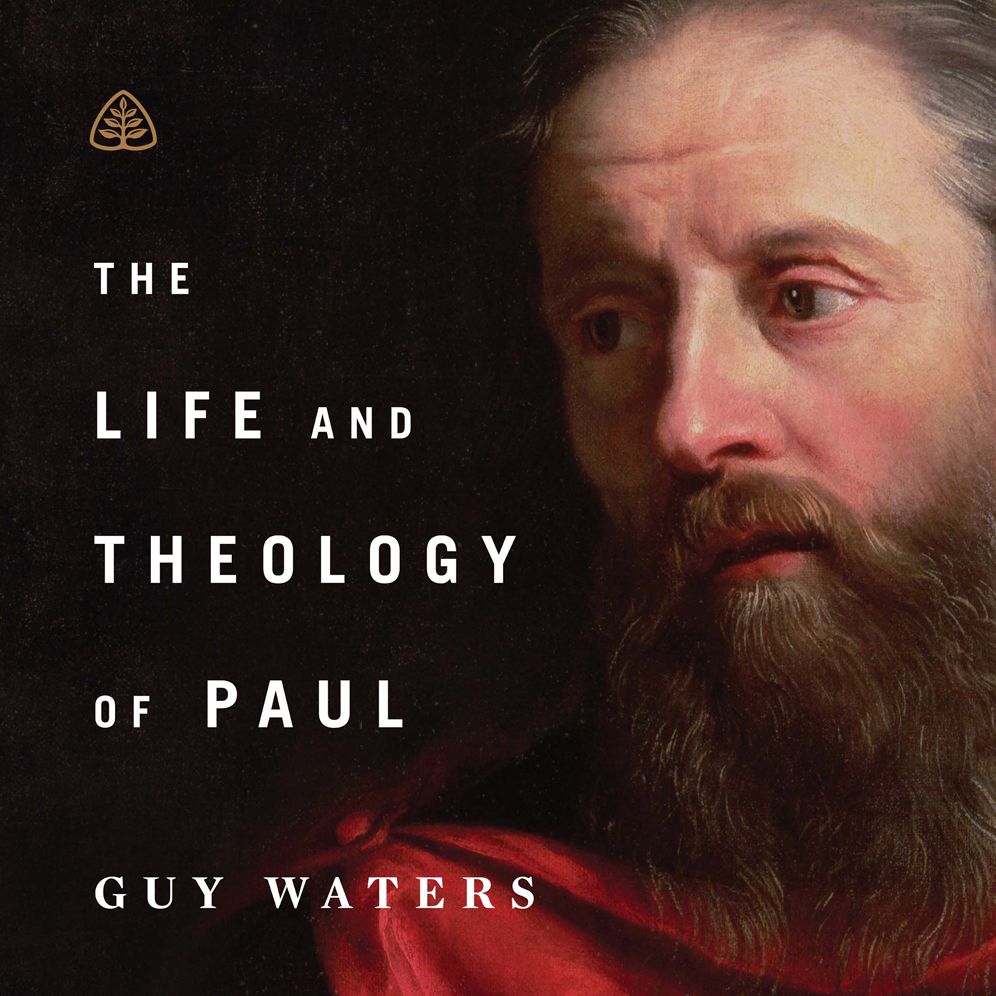 The Life and Theology of Paul Teaching Series