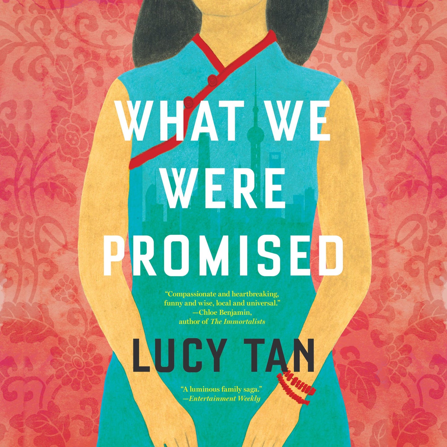 What We Were Promised: A Novel