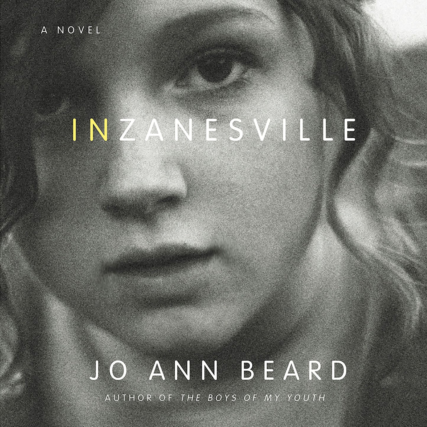 In Zanesville: A Novel