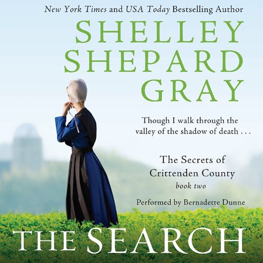The Search: The Secrets of Crittenden County, Book Two