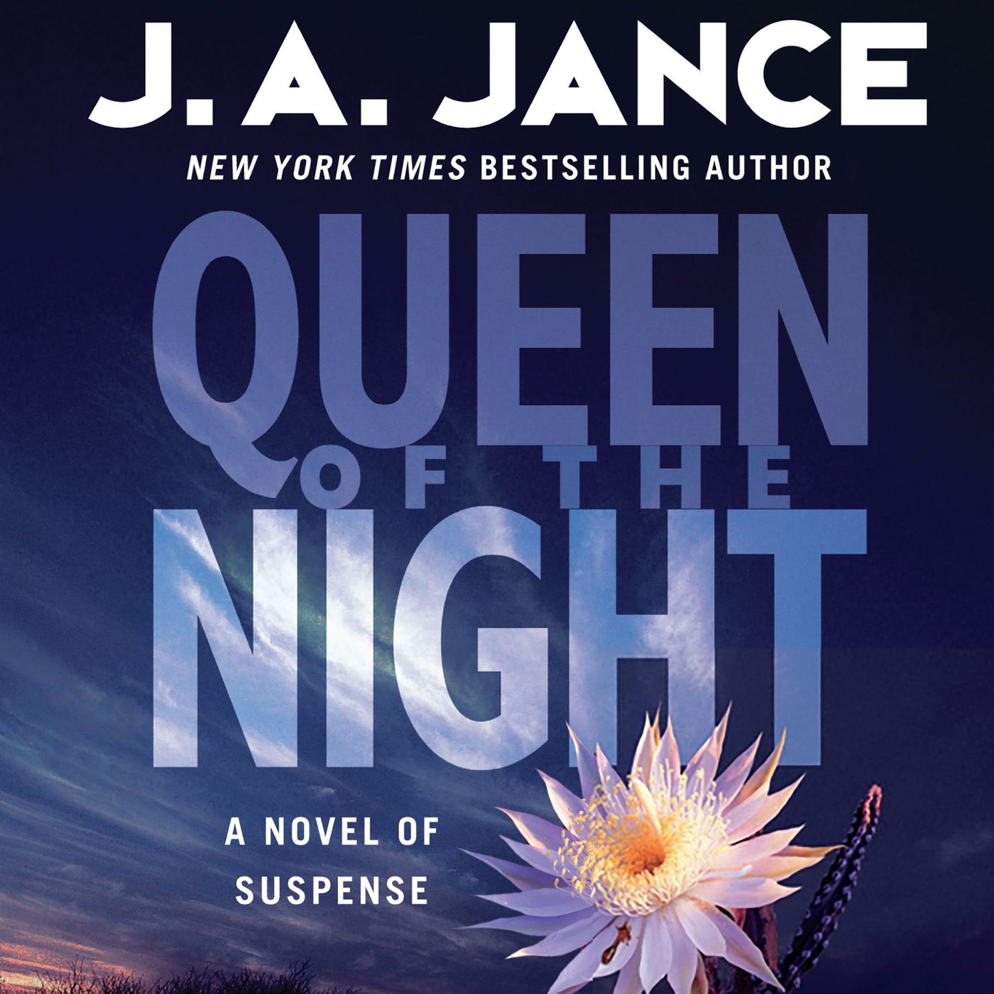 Queen of the Night: A Novel of Suspense