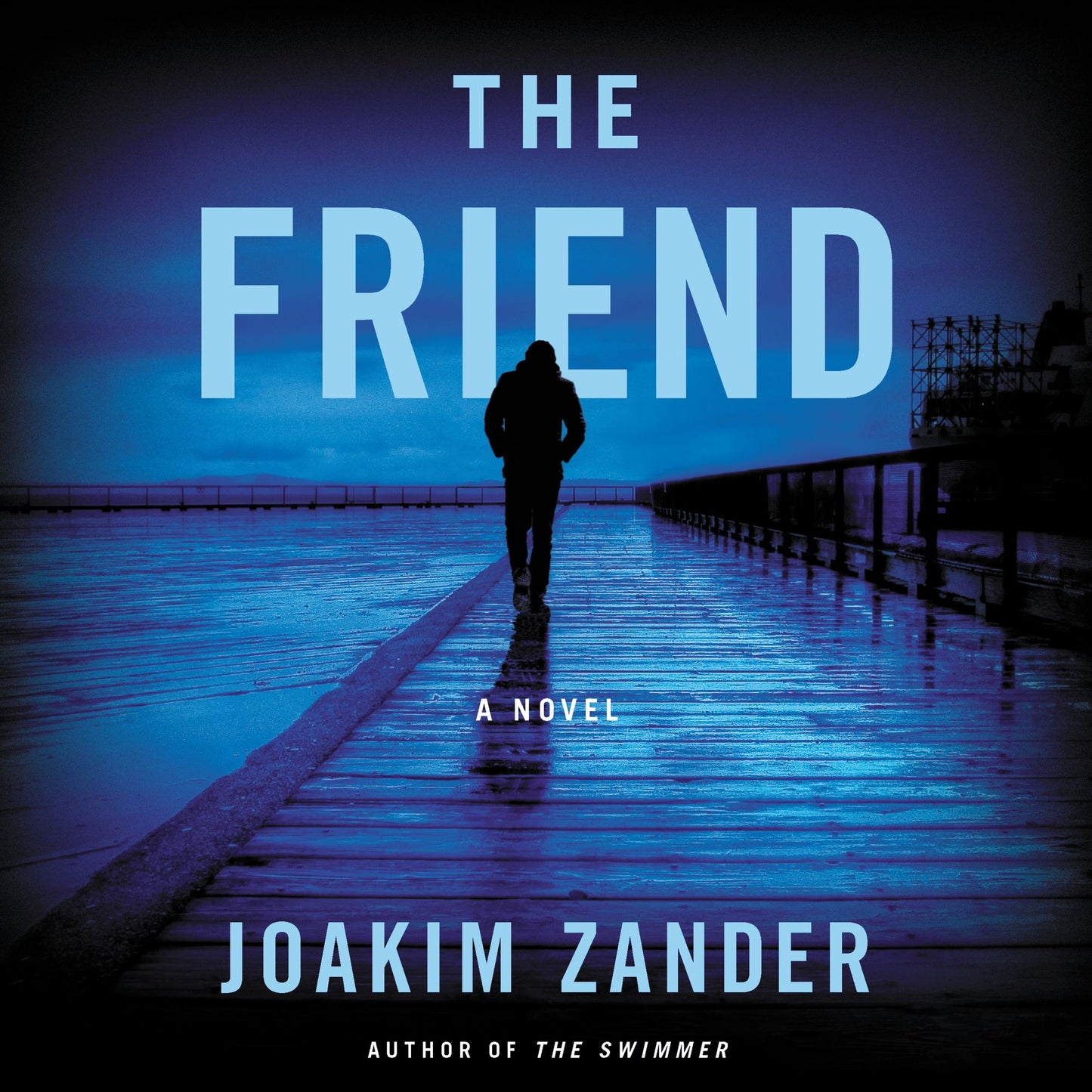 The Friend: A Novel