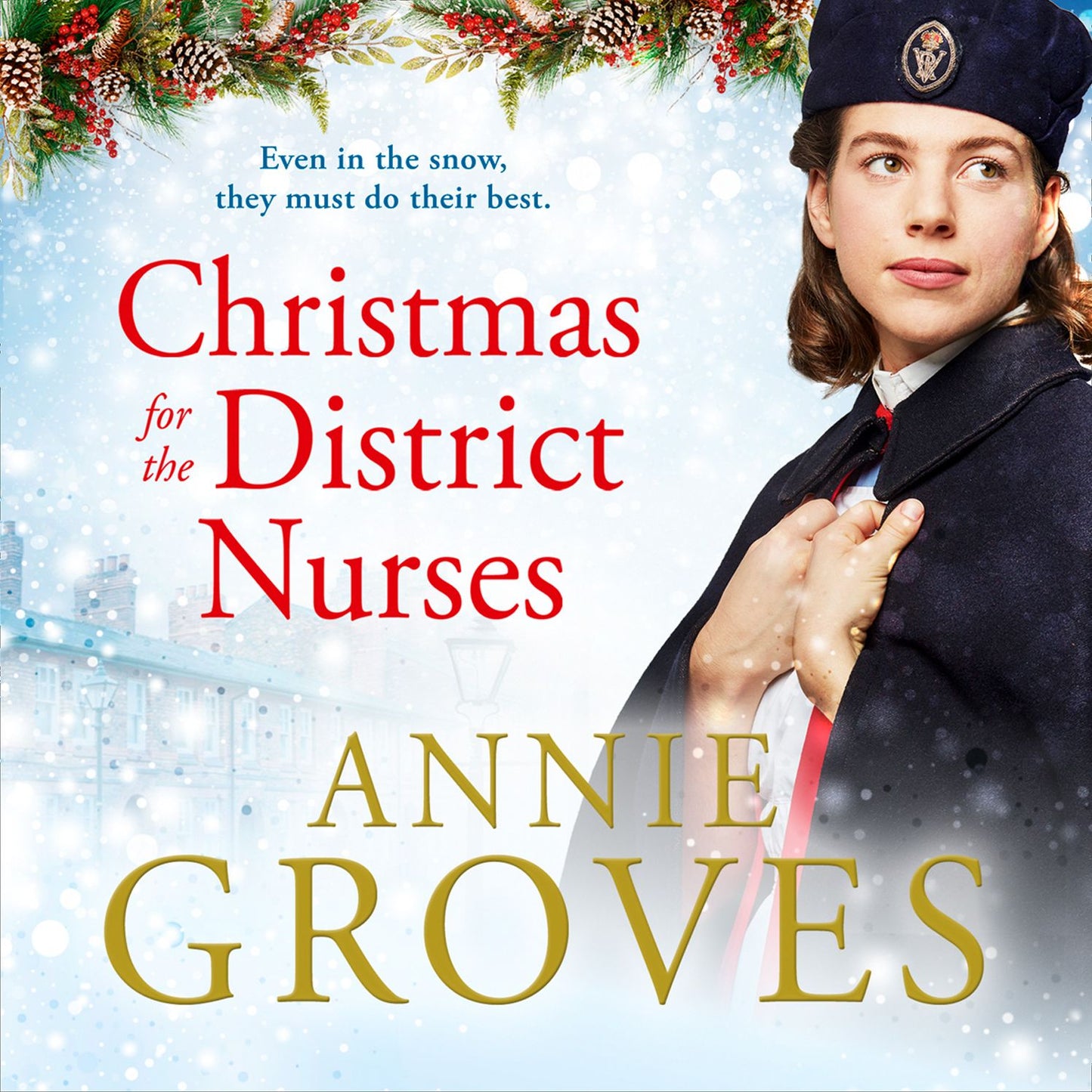 Christmas for the District Nurses (The District Nurse, Book 3)