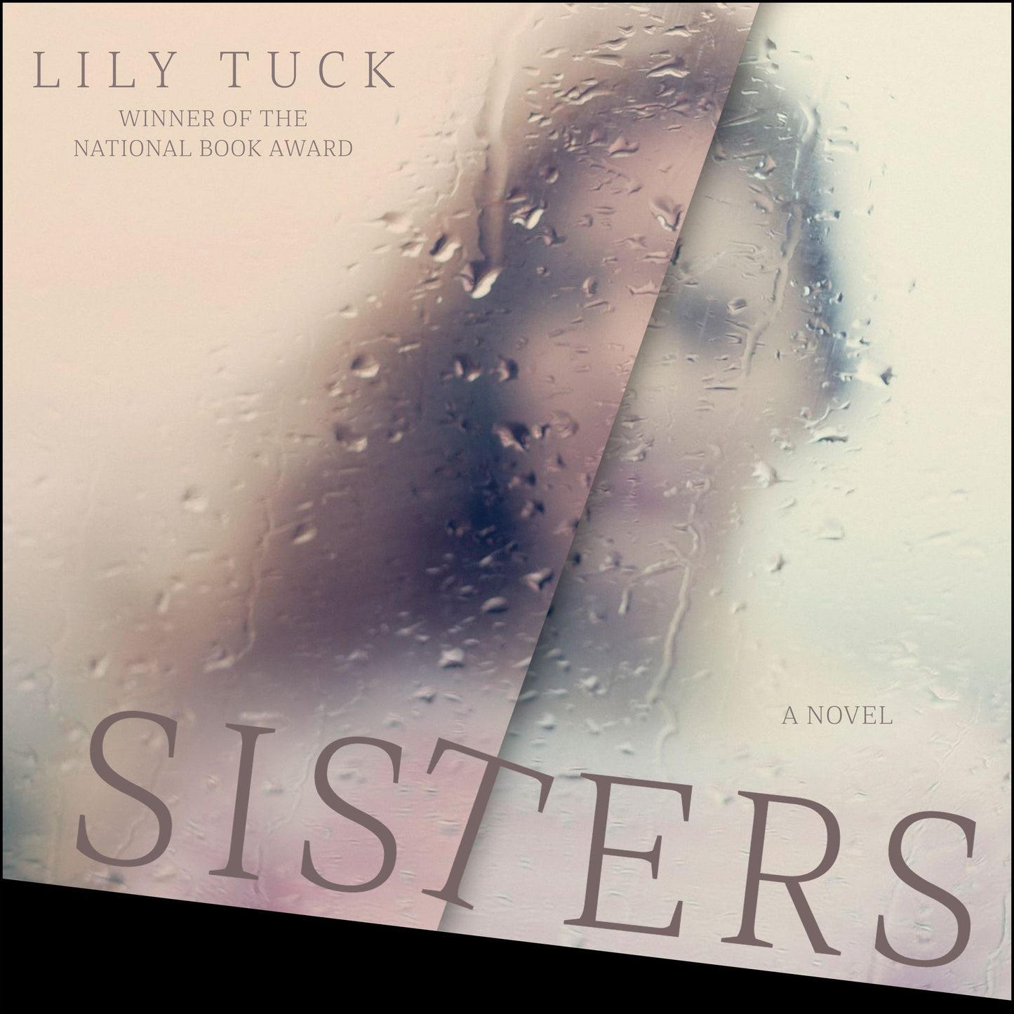 Sisters: A Novel