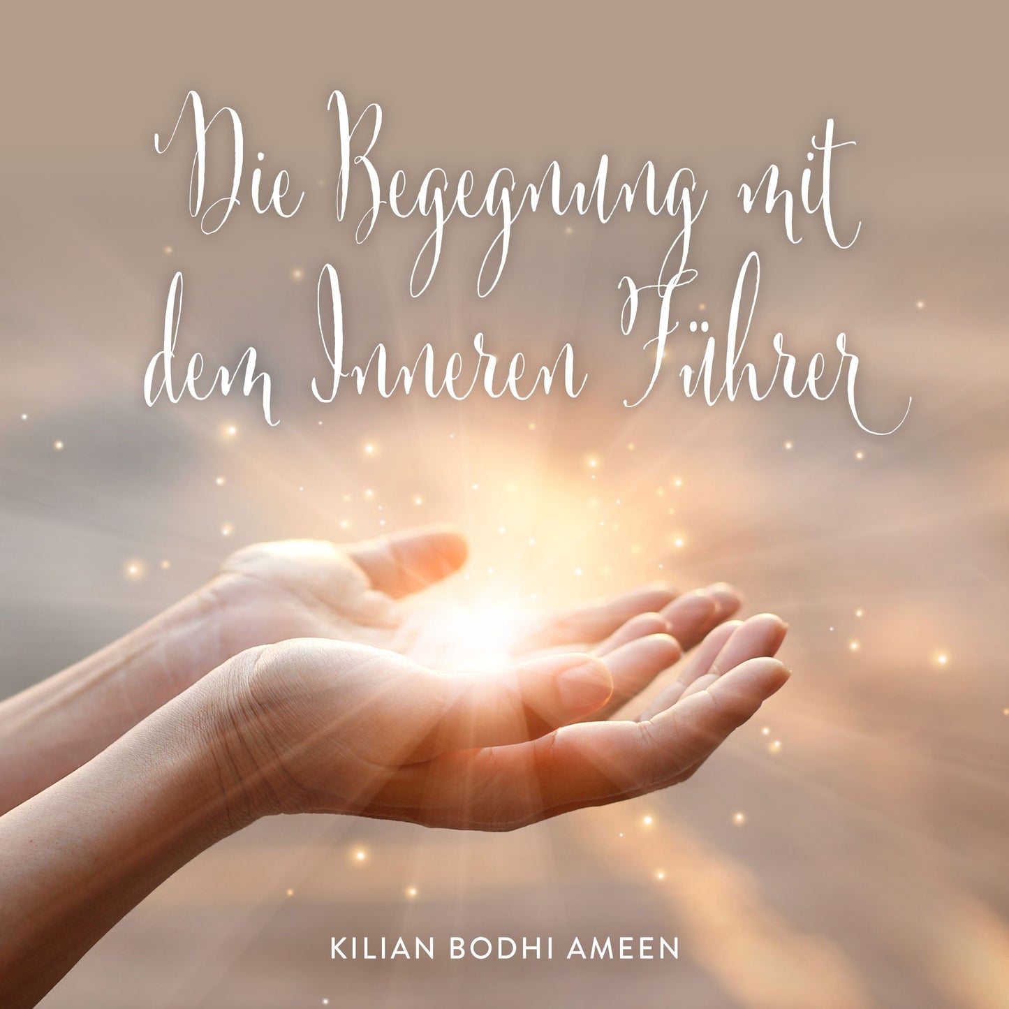 Die Begegnung mit dem Inneren Führer