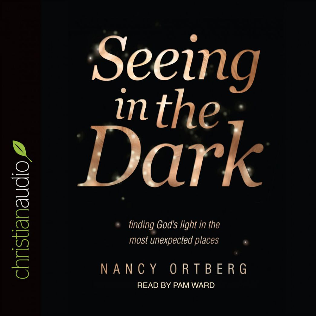 Seeing in the Dark: Finding God's Light in the Most Unexpected Places