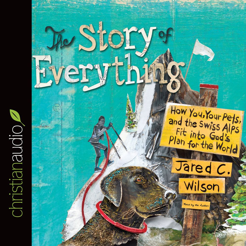 The Story of Everything: How You, Your Pets, and the Swiss Alps Fit into God's Plan for the World