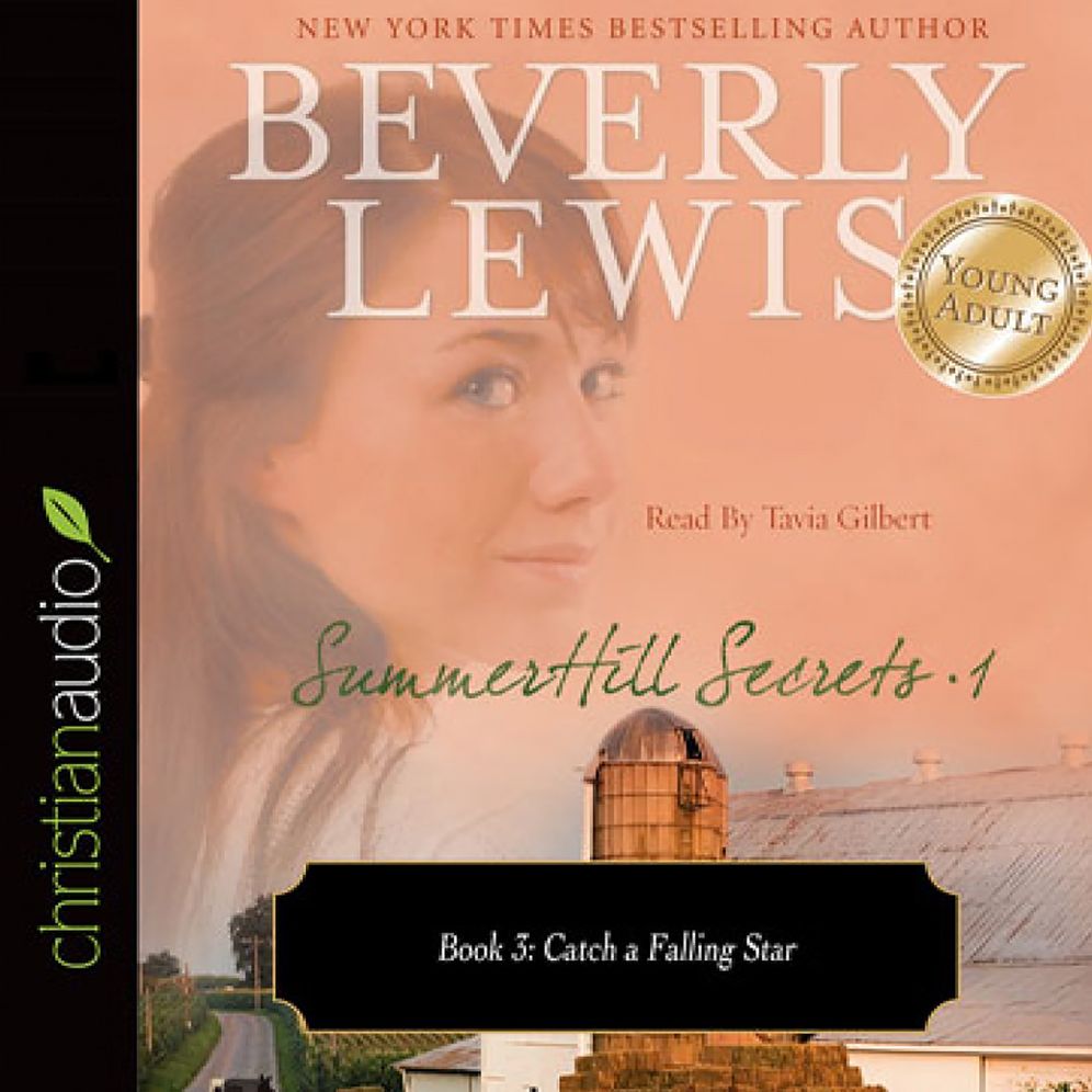 Catch a Falling Star: SummerHill Secrets, Volume 1, Book 3