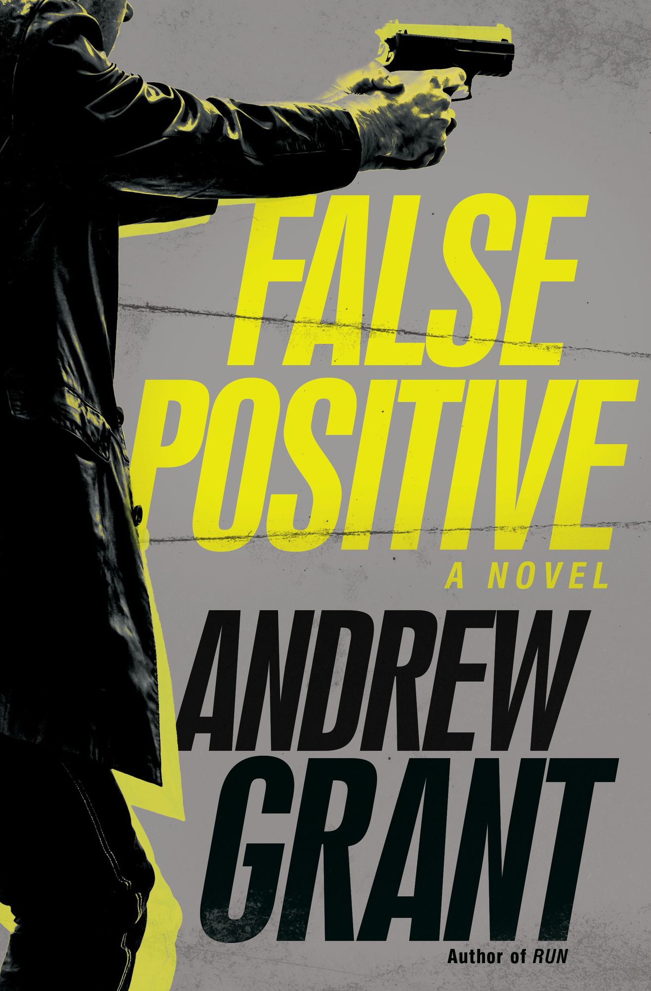 False Positive: A Novel