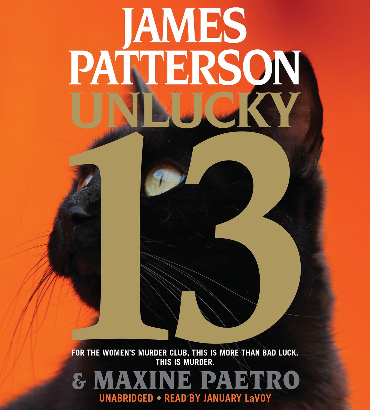 Unlucky 13: Women's Murder Club, Book 13