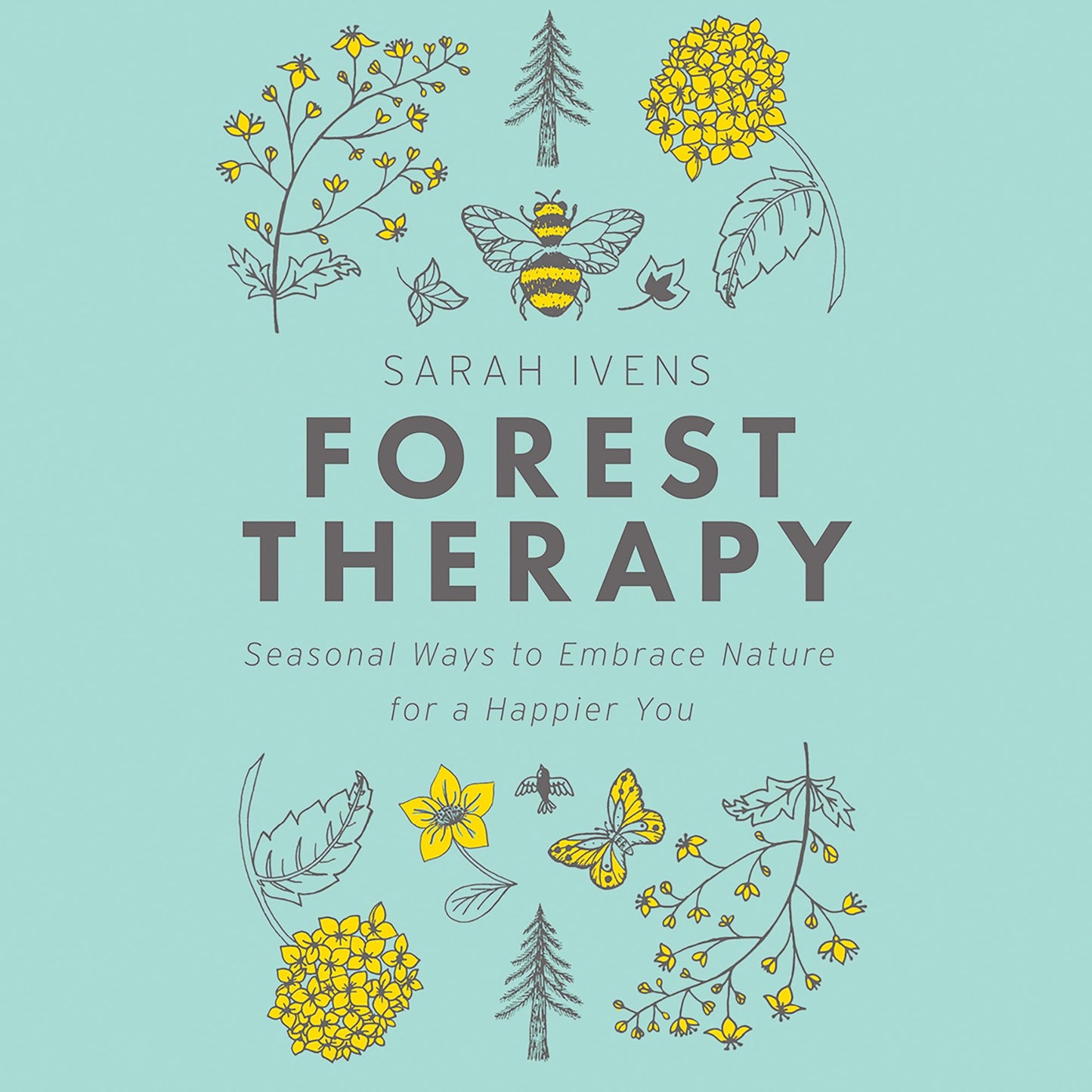 Forest Therapy: Seasonal Ways to Embrace Nature for a Happier You
