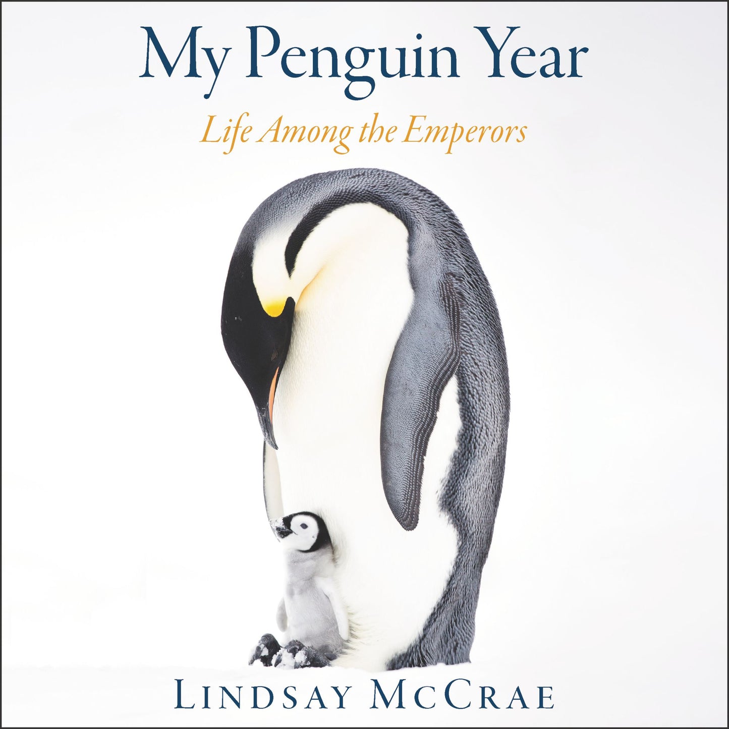 My Penguin Year : Life Among the Emperors