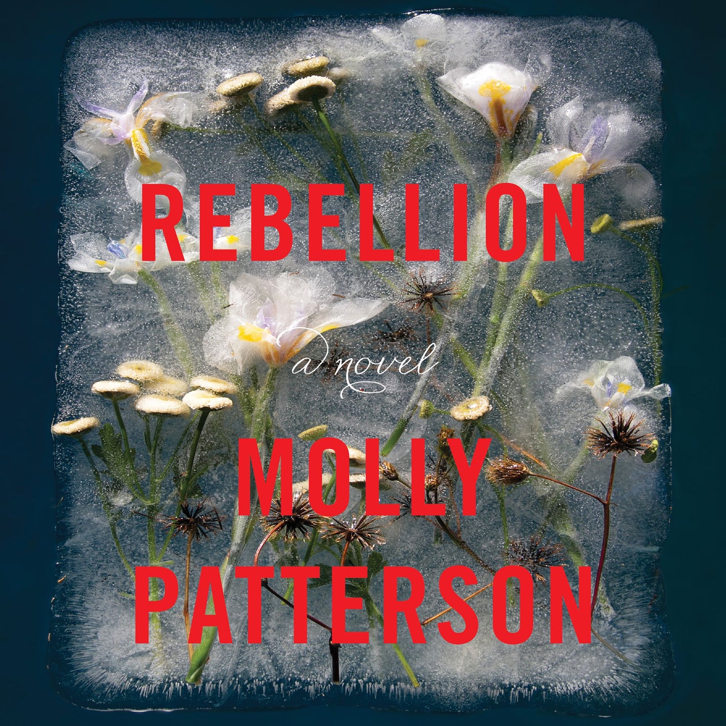 Rebellion: A Novel