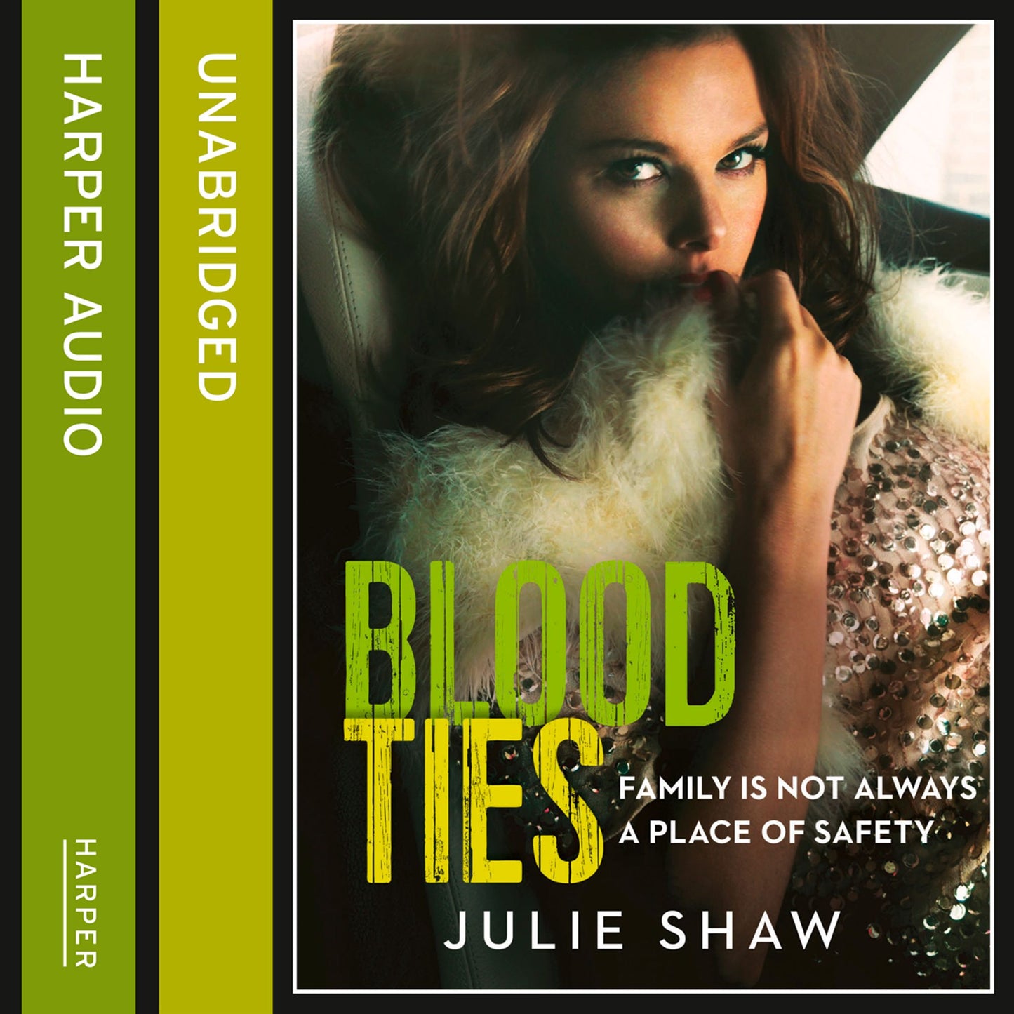 Blood Ties (Tales of the Notorious Hudson Family, Book 4): Family Is Not Always A Place of Safety