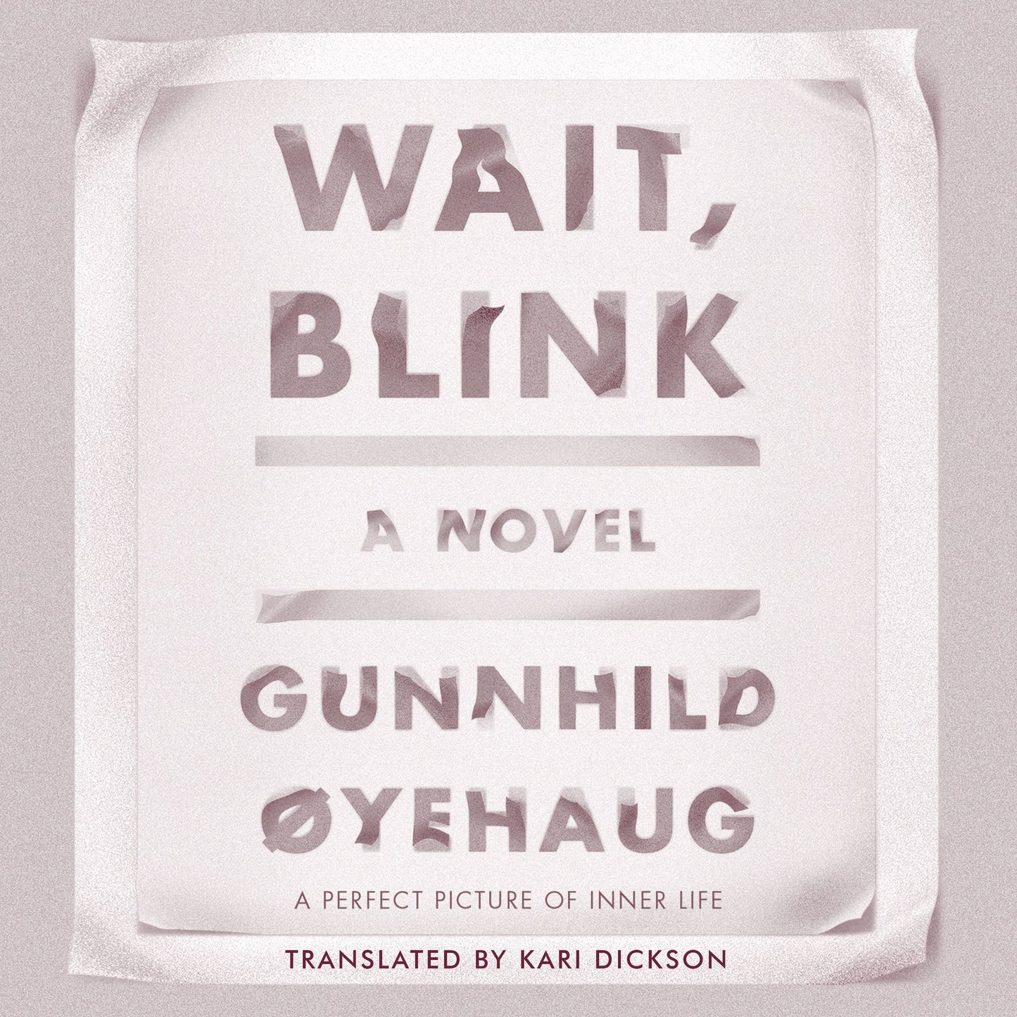 Wait, Blink: A Novel