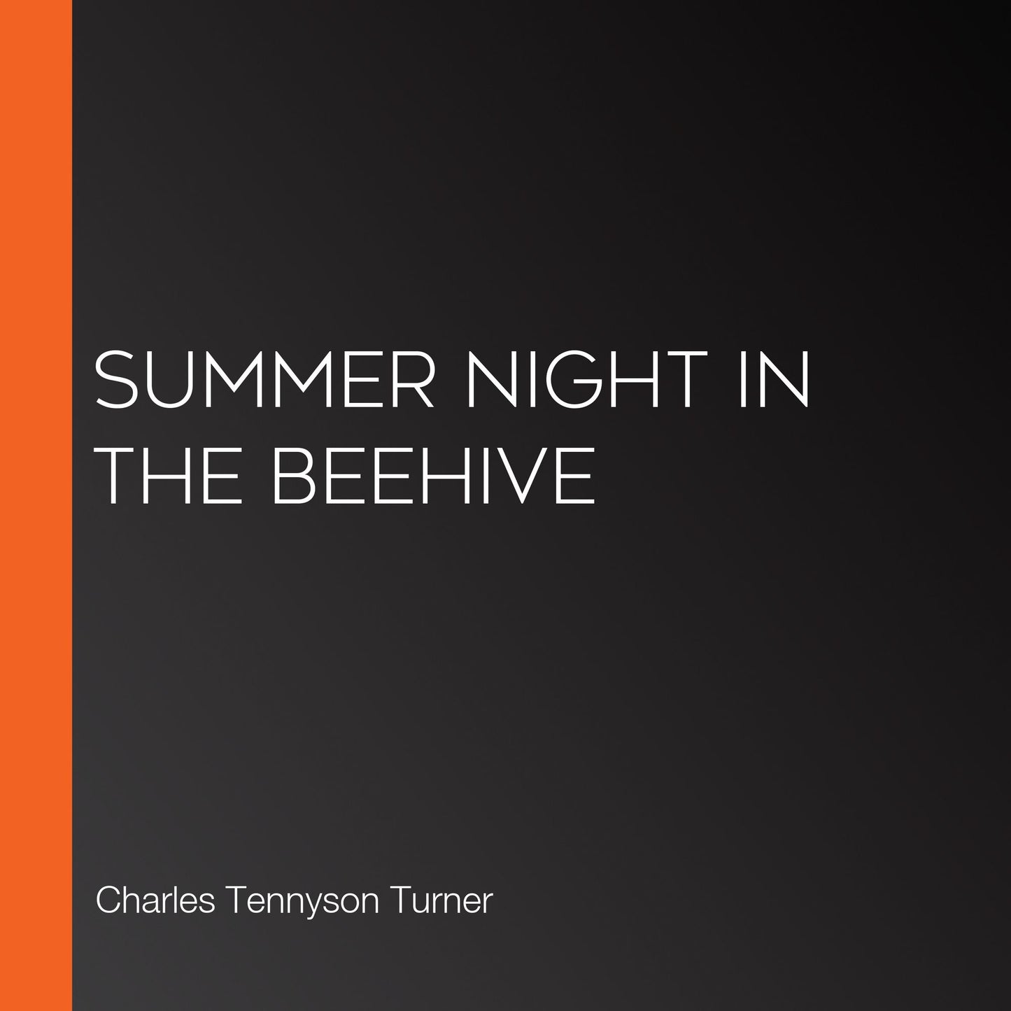 Summer Night in the Beehive