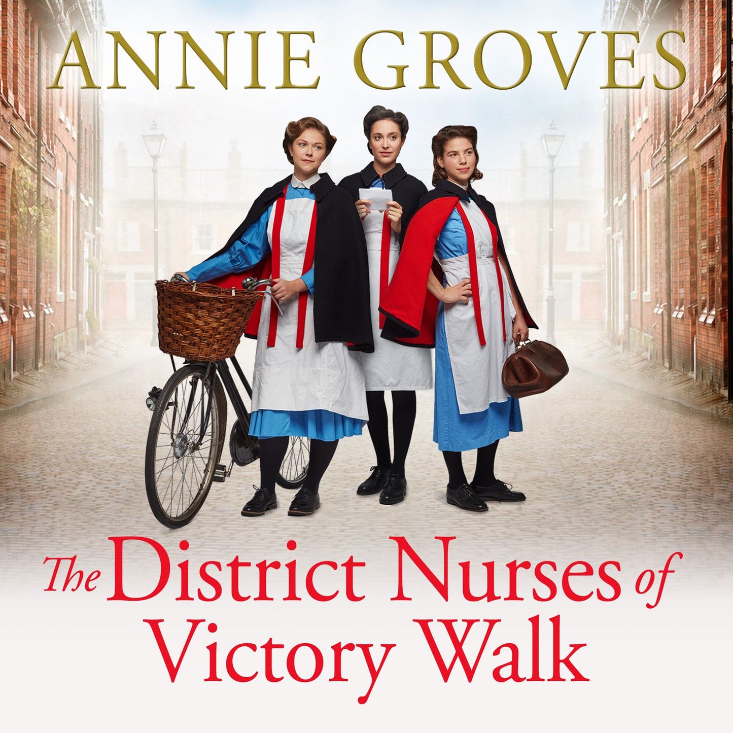 The District Nurses of Victory Walk: The District Nurse, Book 1