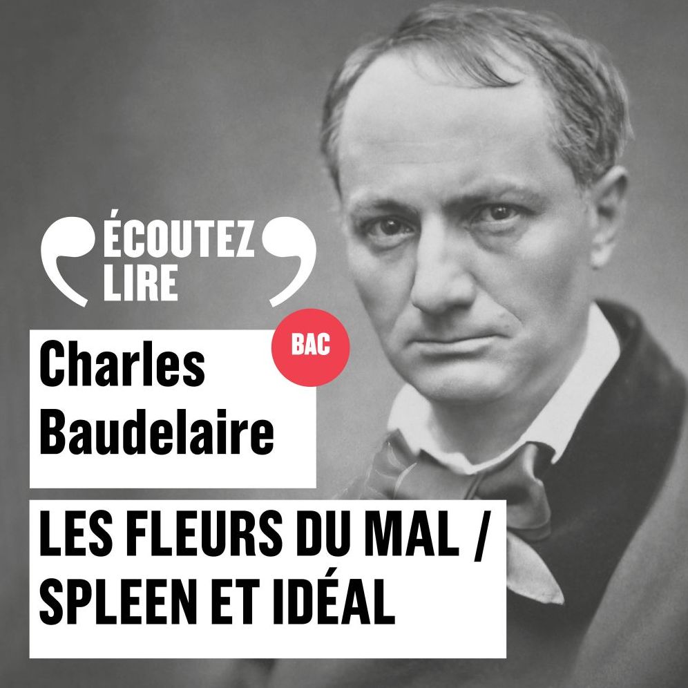 Les Fleurs du Mal, Spleen et Idéal