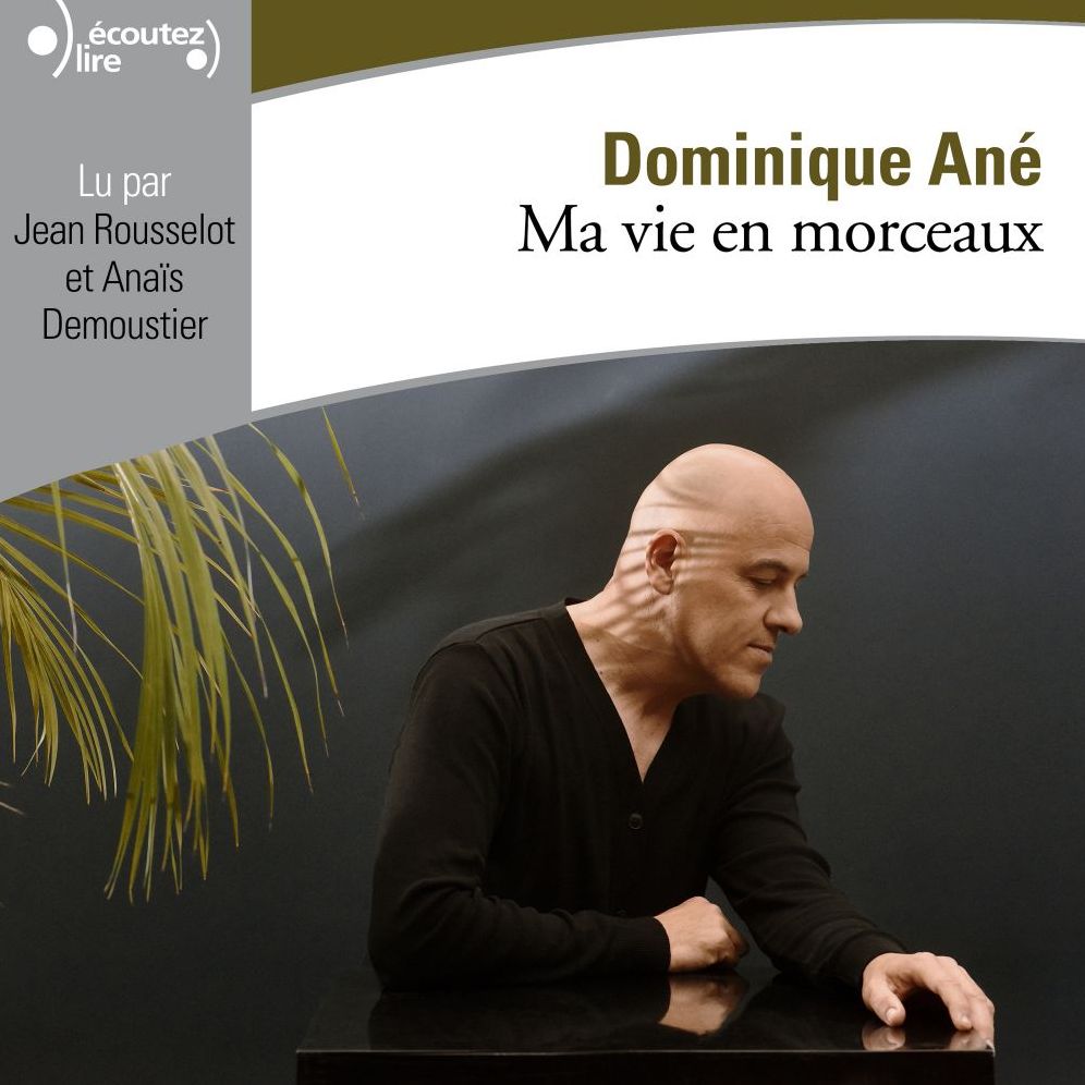 Ma vie en morceaux
