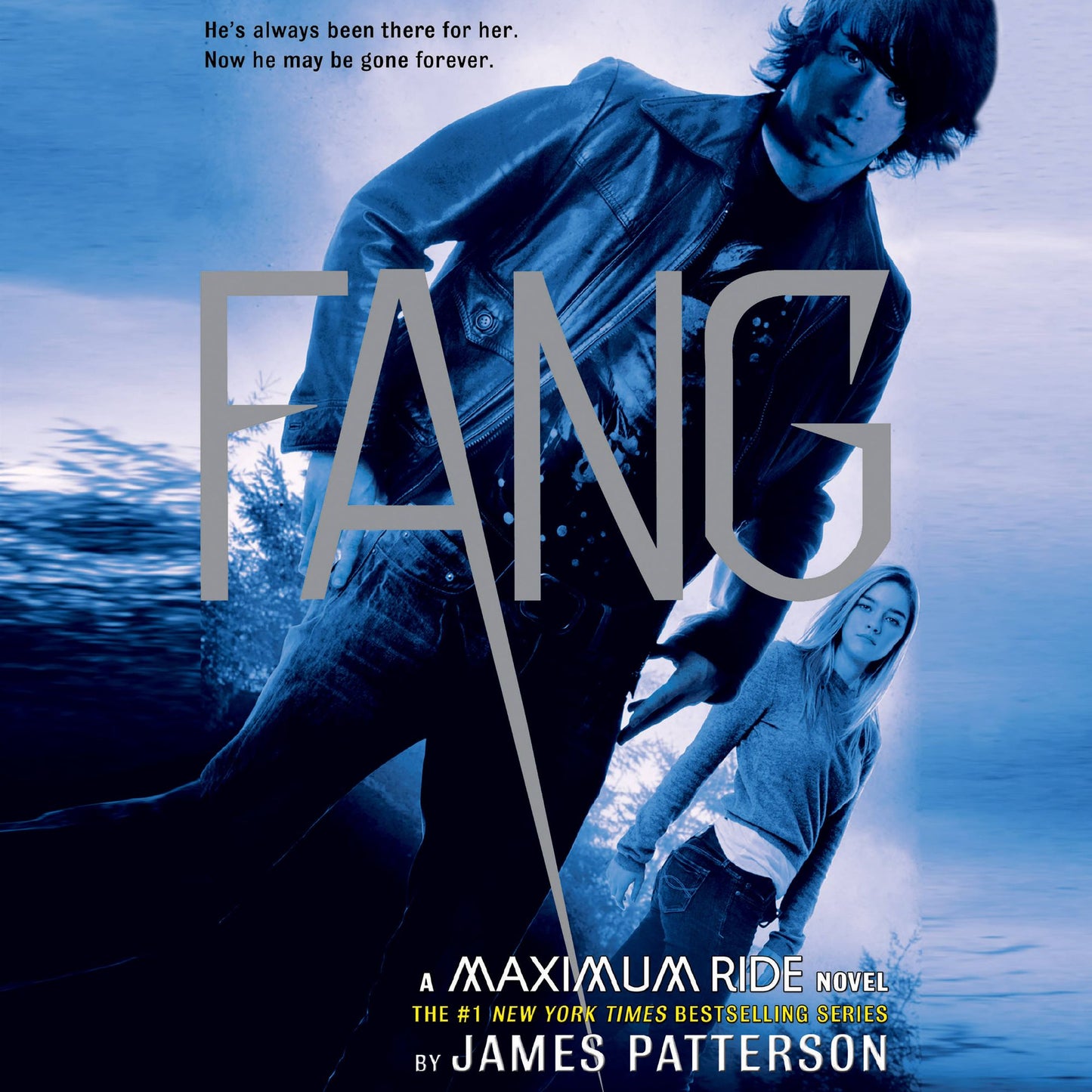 Fang: A Maximum Ride Novel