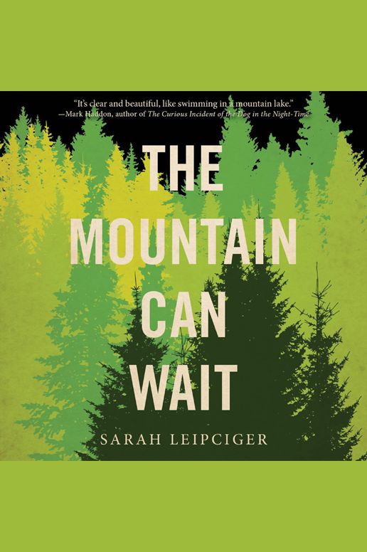 The Mountain Can Wait
