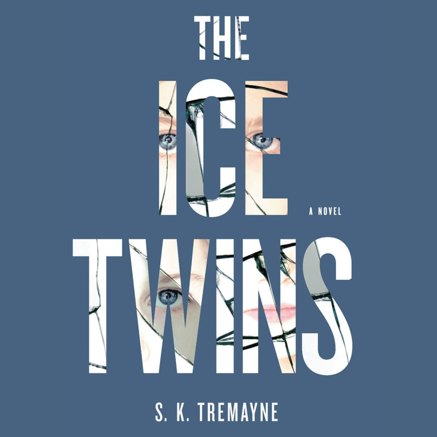 The Ice Twins: A Novel