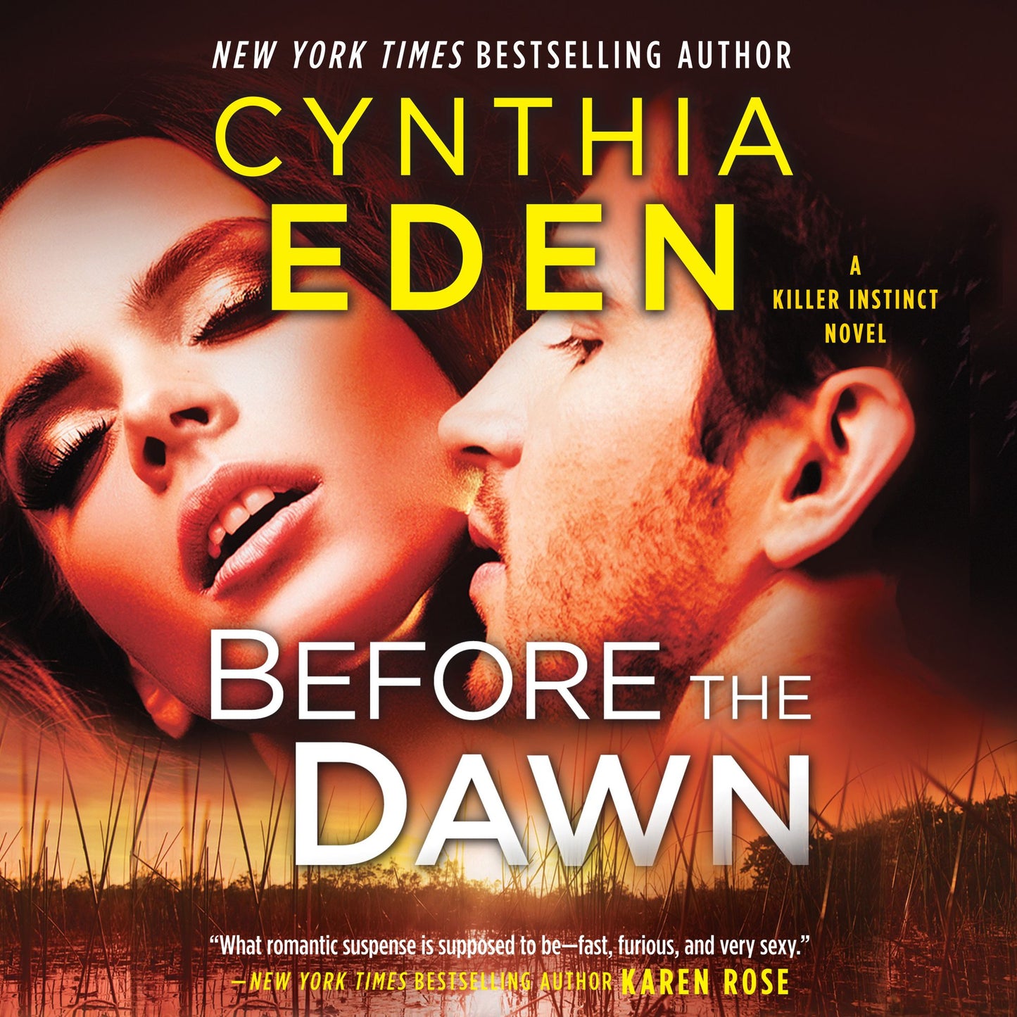 Before the Dawn: A Killer Instinct Novel