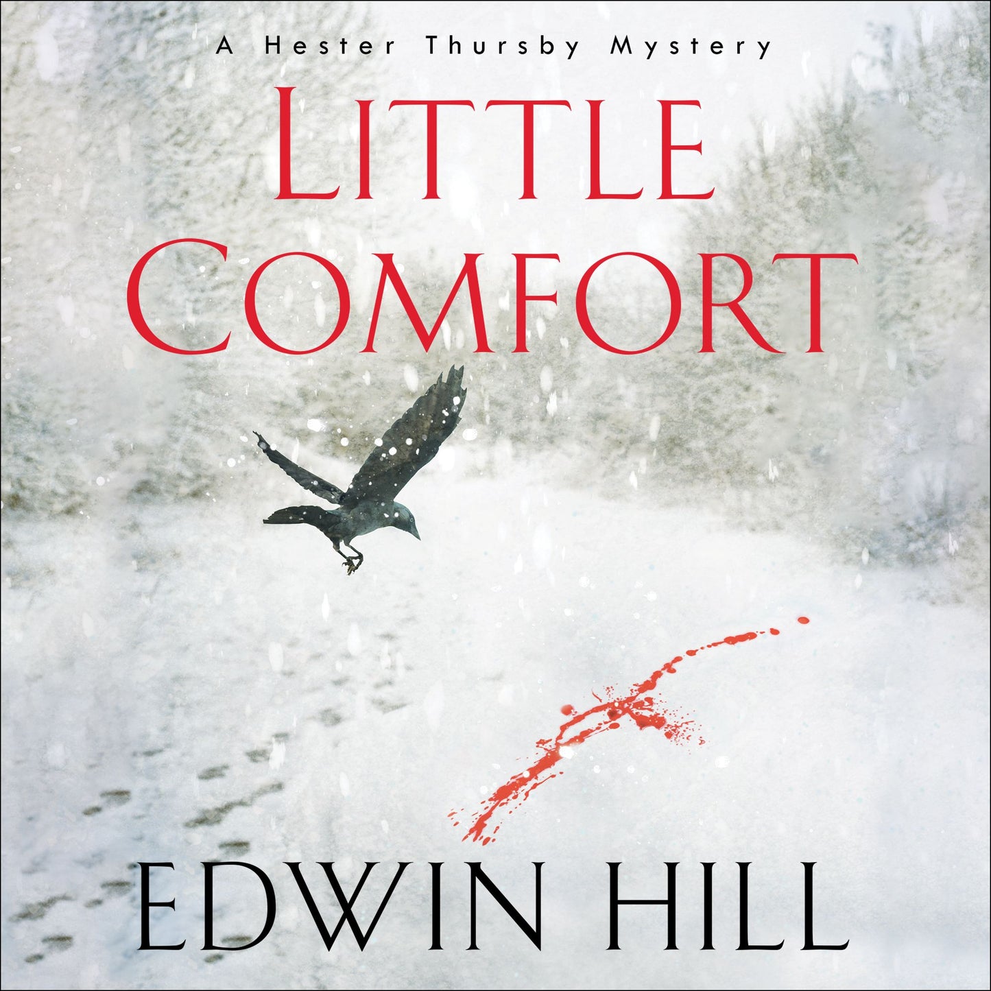 Little Comfort: A Hester Thursby Mystery